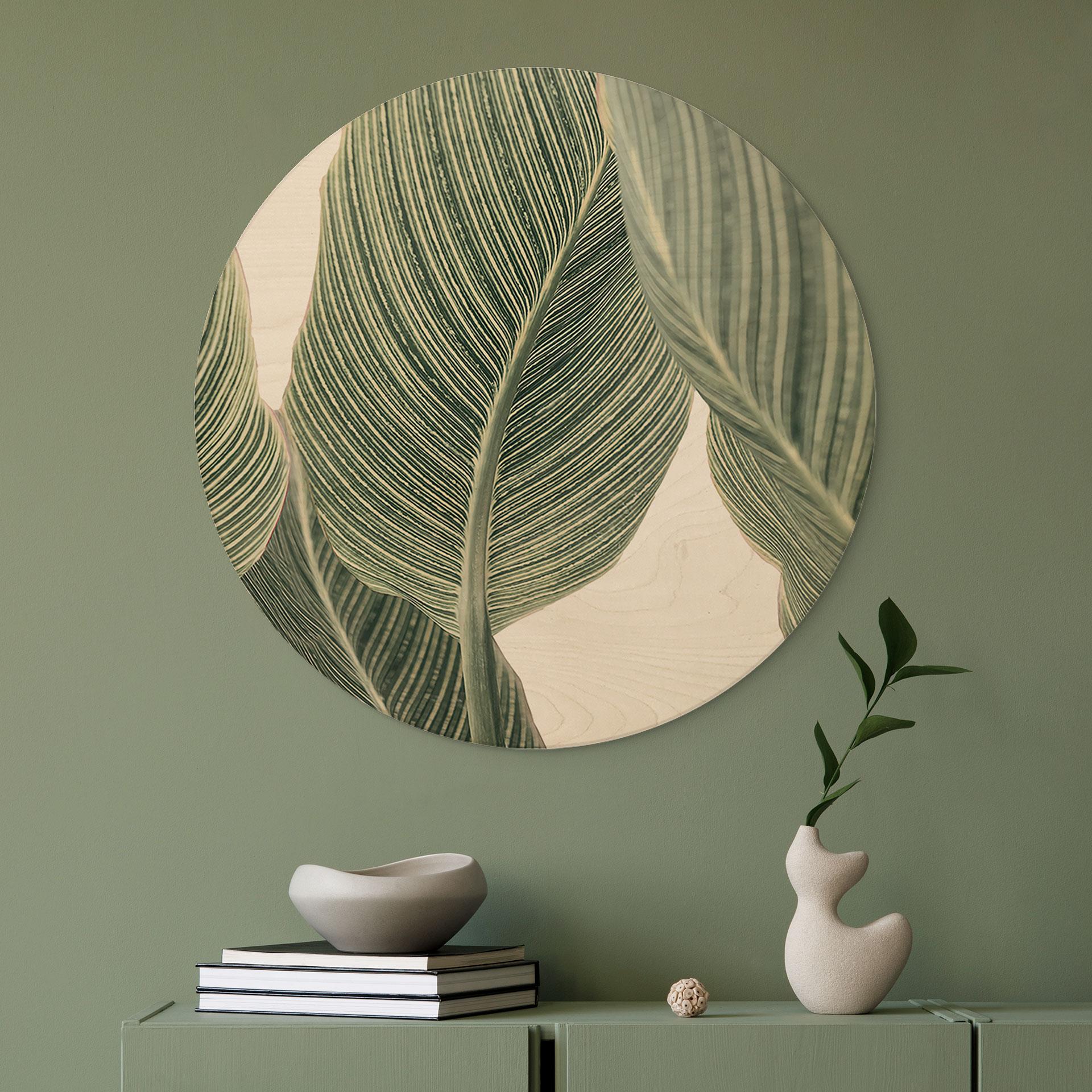 Væg cirkel træ Calathea-plante - Sisi & Seb