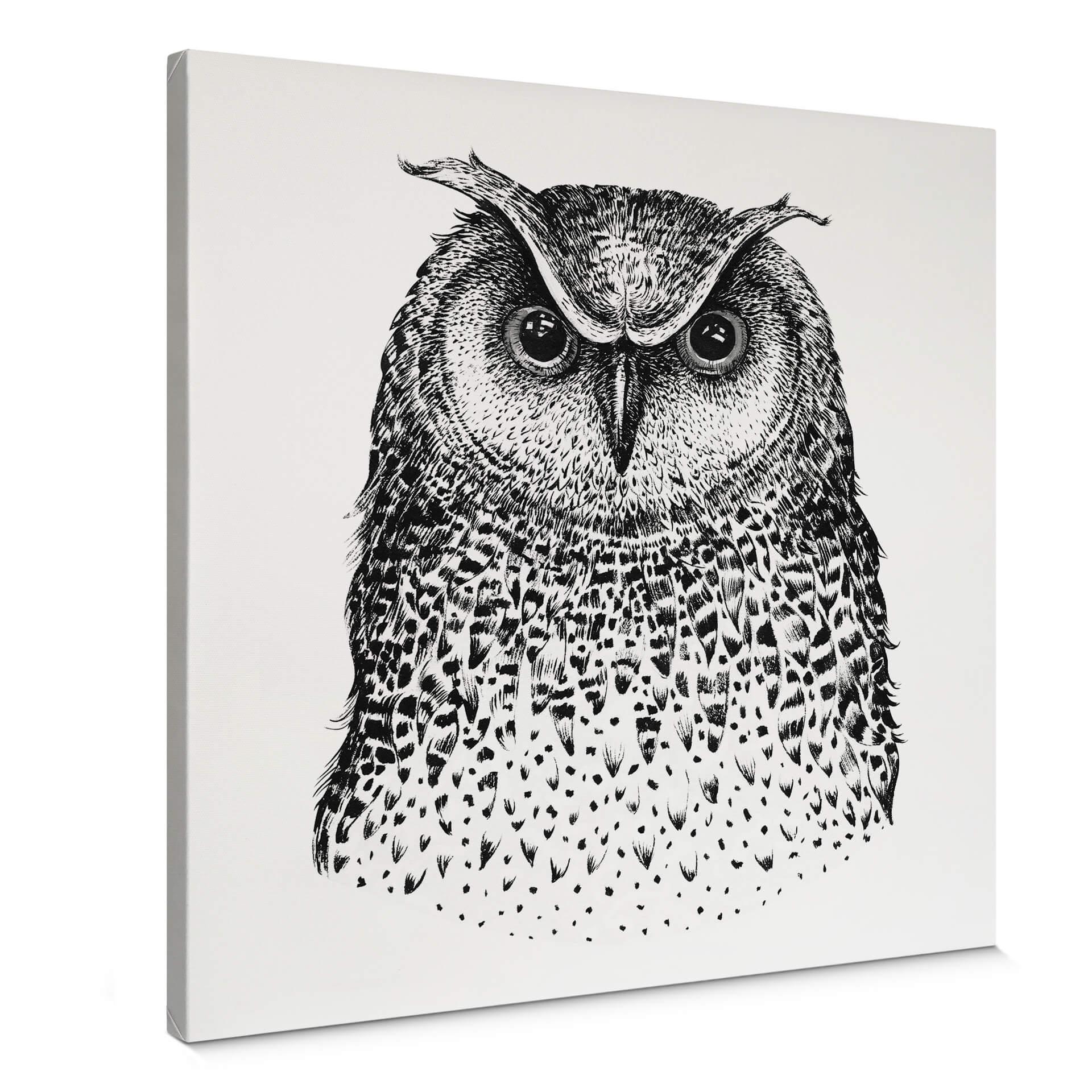 Canvas Kvilis - Uggla 01
