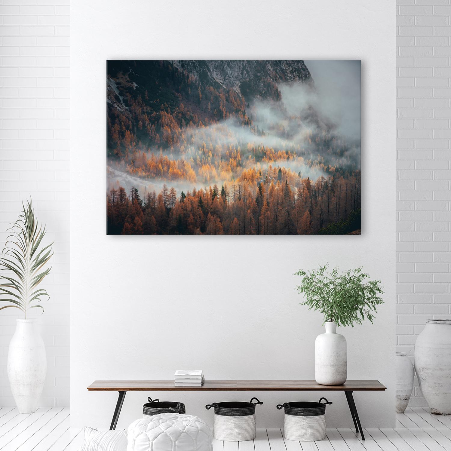 Canvasbillede, Skov i tåge