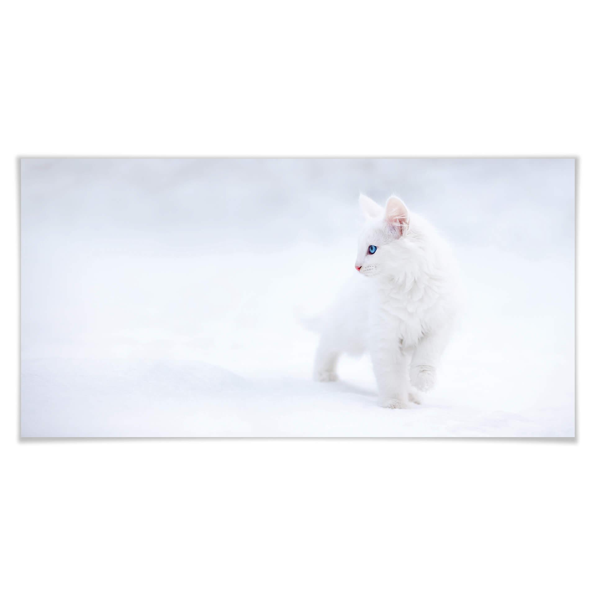 Poster - Prexus - Plus blanc que neige