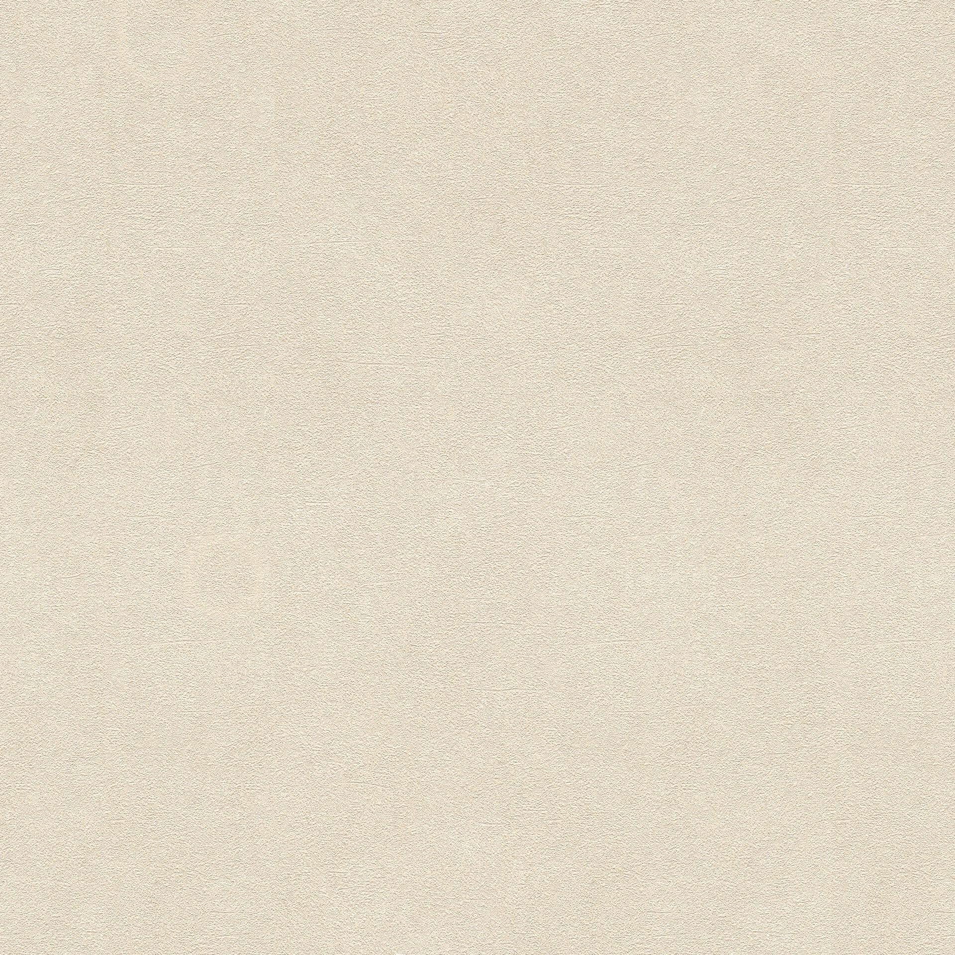 Rasch Vliestapete Vincenza Beige, Creme