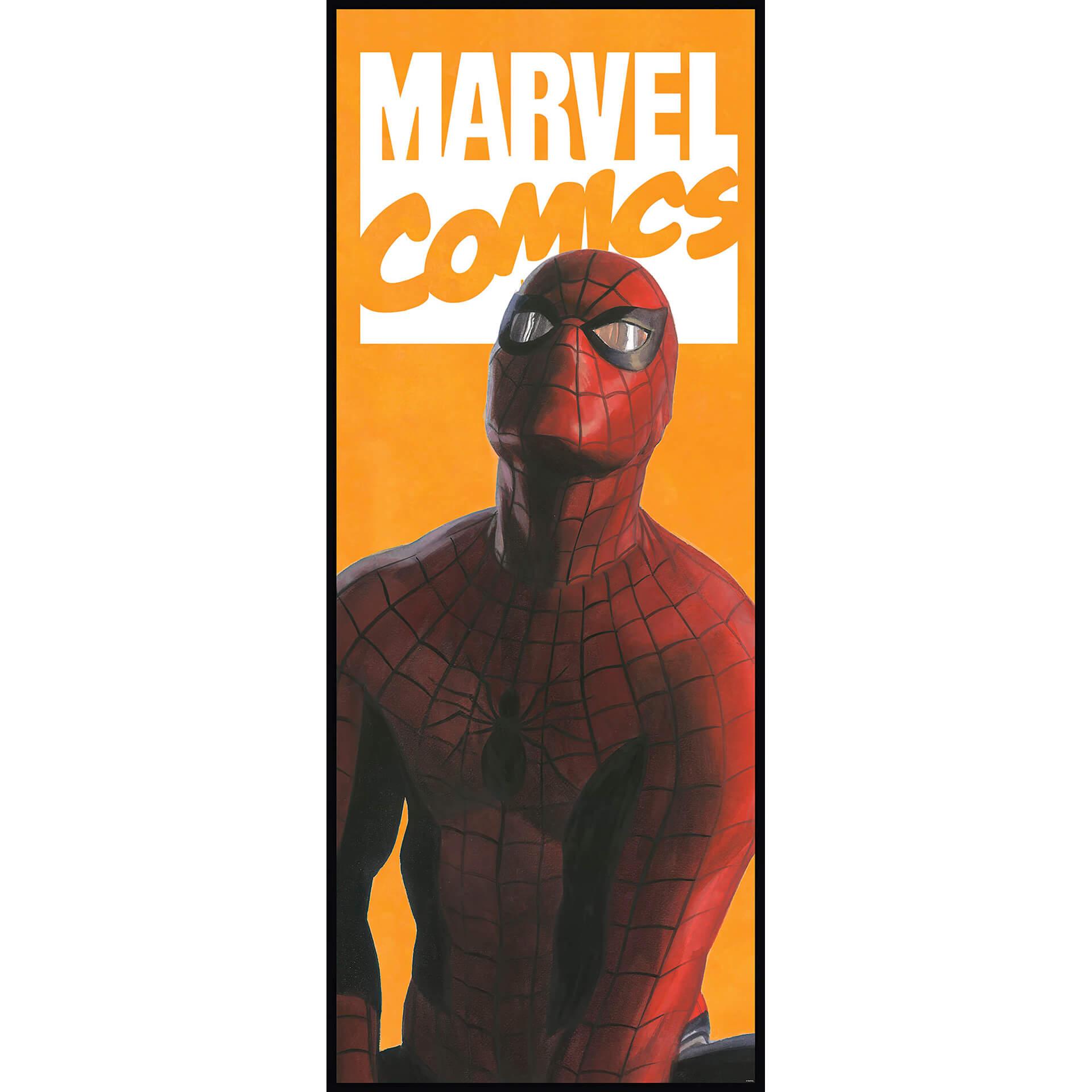 Vliesbehang - Spider-Man Comic - 100 x 250 cm