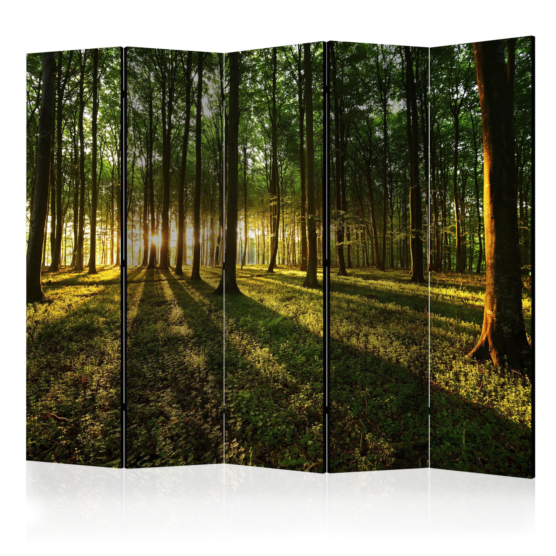 Schermo divisorio - Mattina nella foresta, 3 pezzi