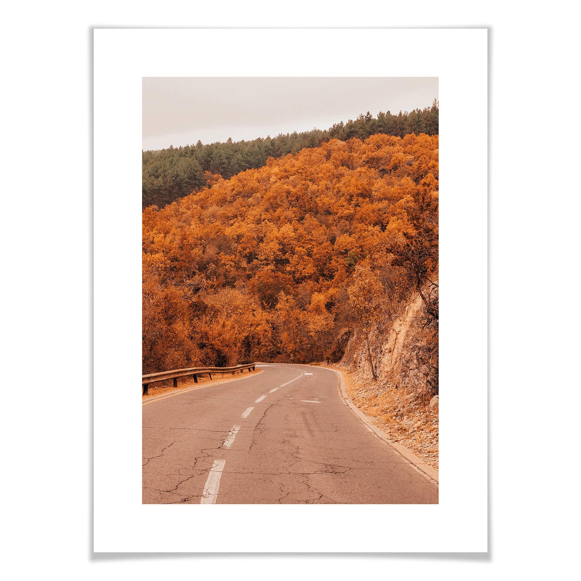 Póster Otoño en el bosque