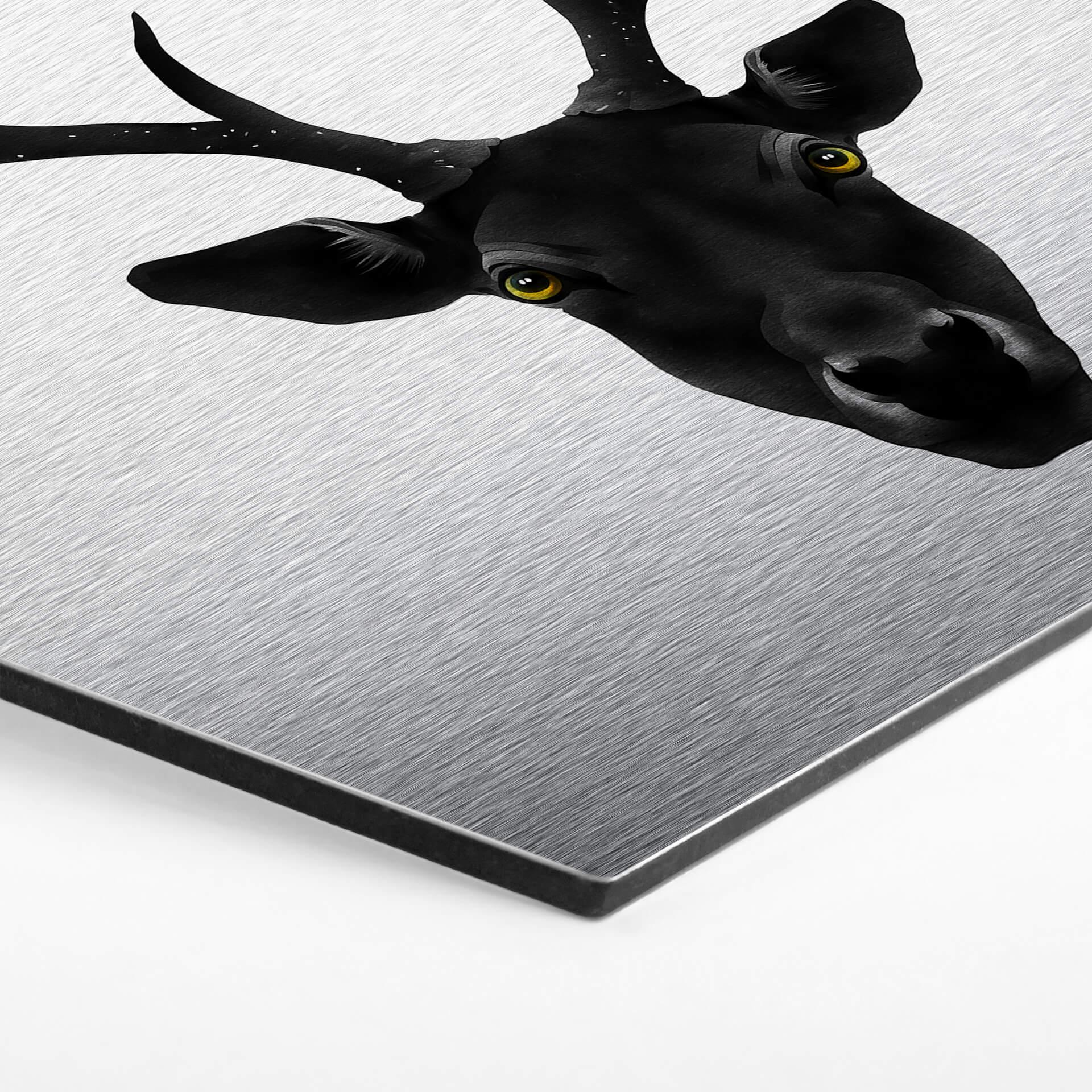 Hexagon Alu-Dibond Zilvereffect Ireland - the Black Deer