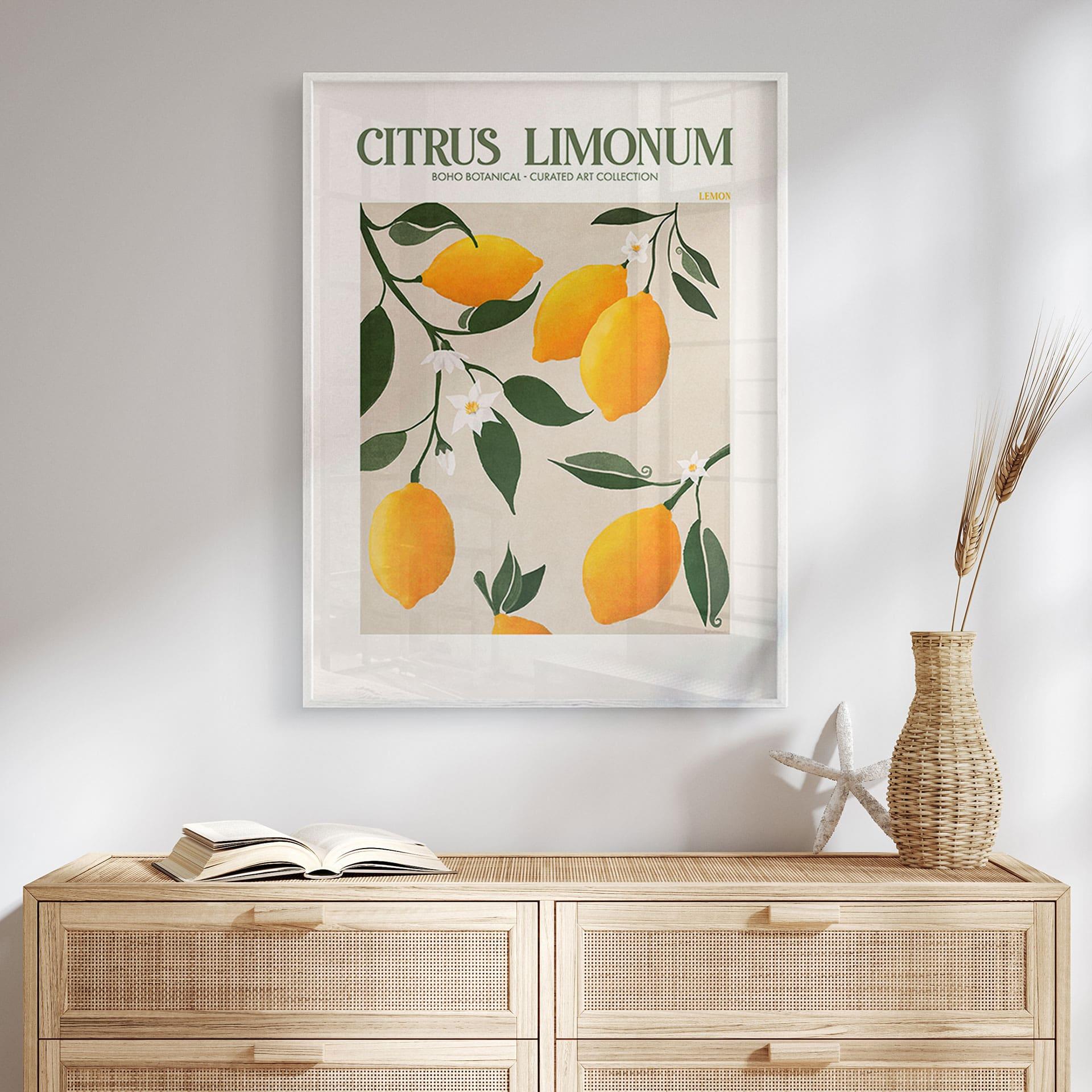 Plakat Frugt - Boho citrontræ - Citrus Limonum - Tunaboylu