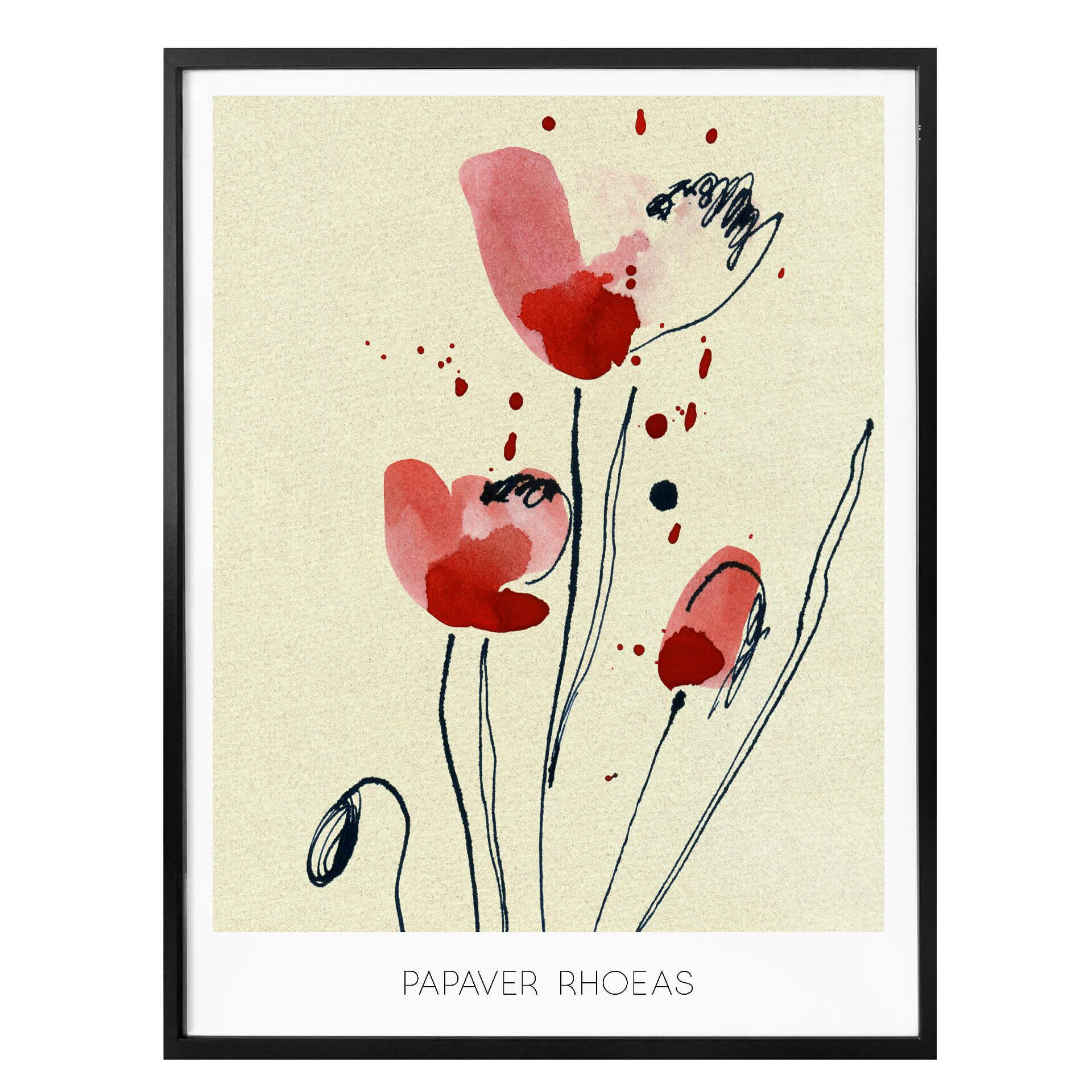 Póster Papaver Rhoeas