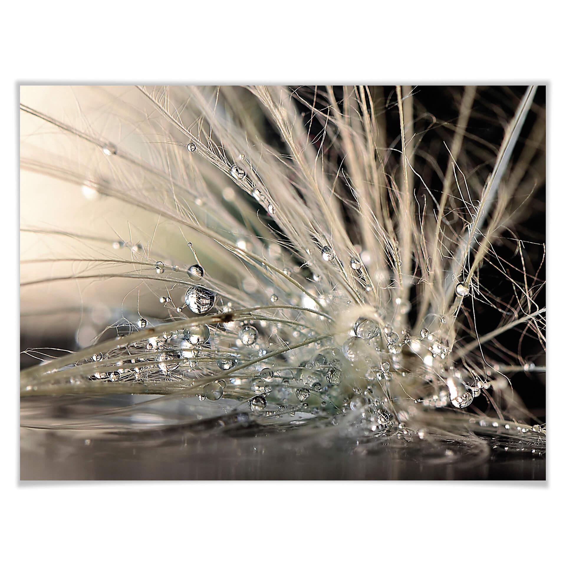 Plakat Zahirimehr - Historia kropli wody - Waterdrops