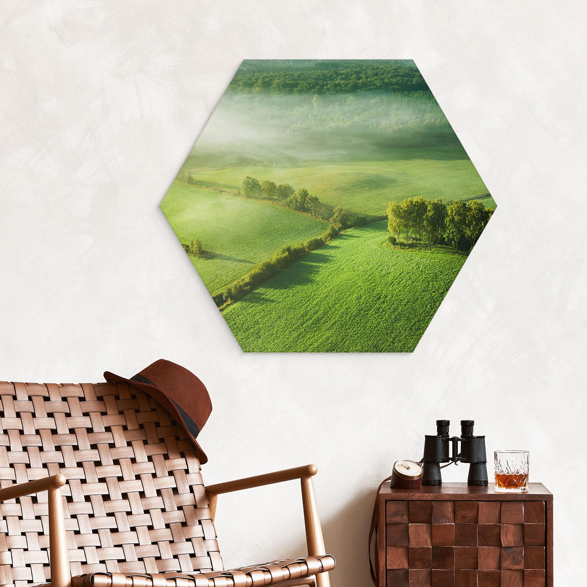 Hexagon Wandbild Idyllische Felder im Nebel - Keller - Alu-Dibond