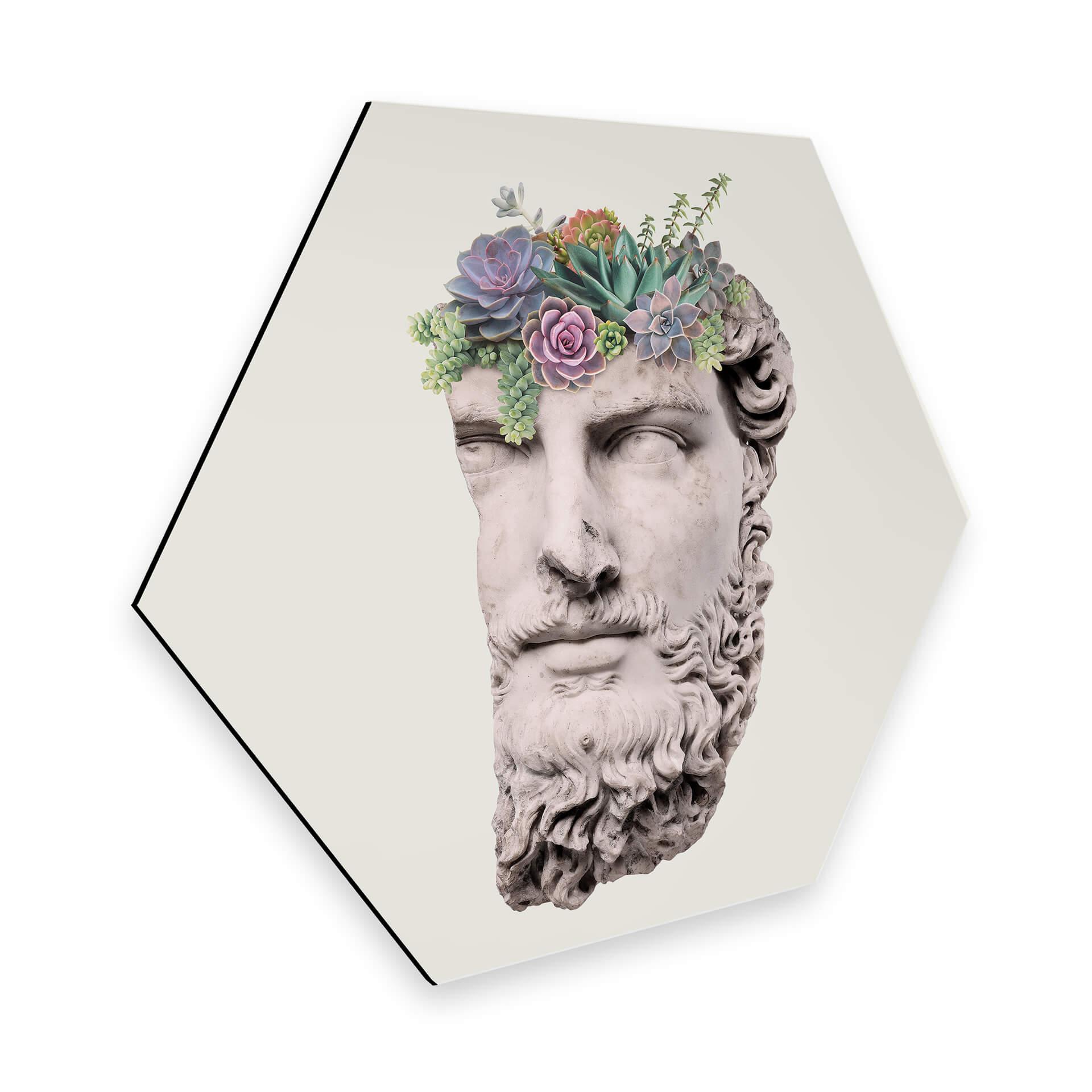 Hexagon Dibond Loose - Succulent Sculpture