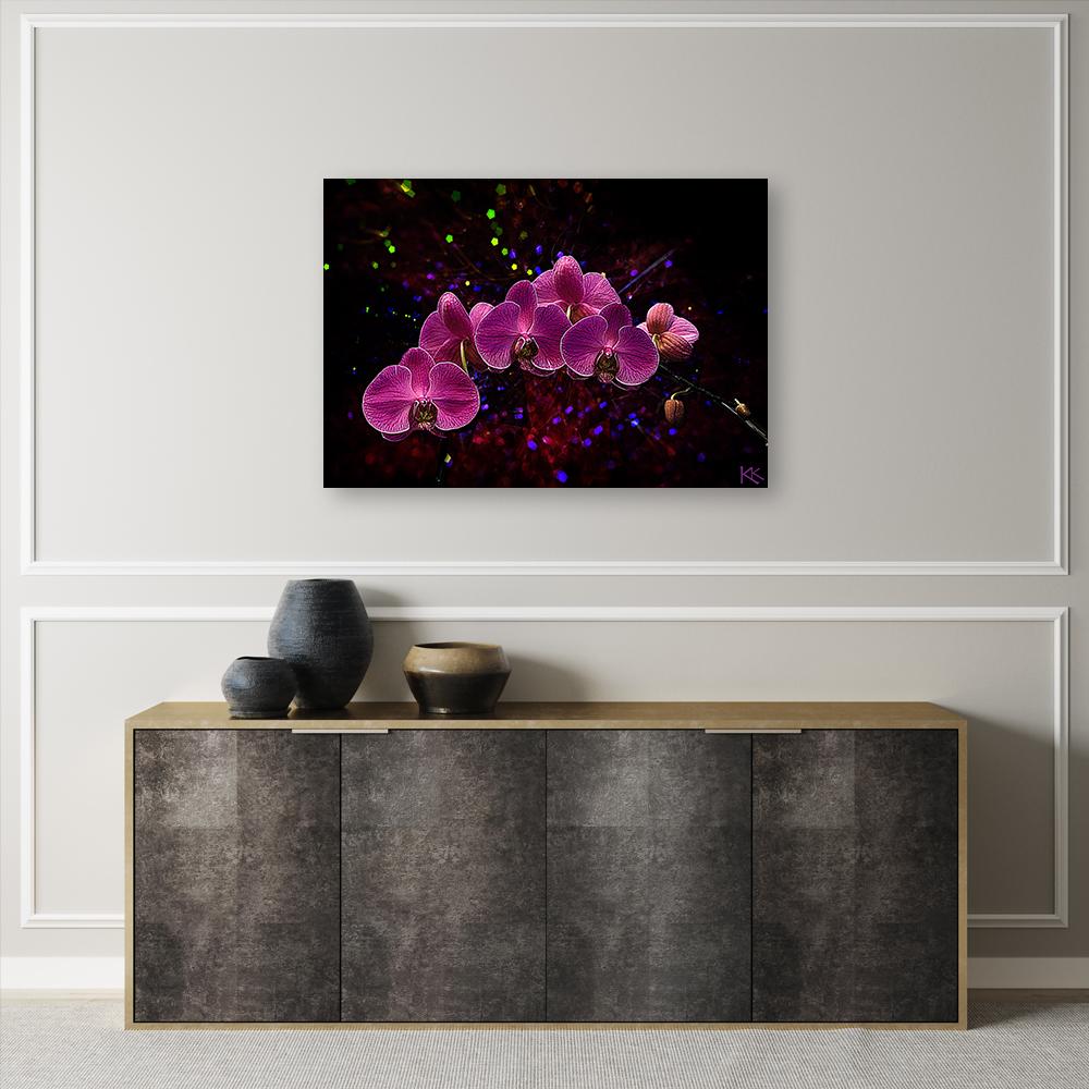 Canvasbillede, orkidéblomster pink spa