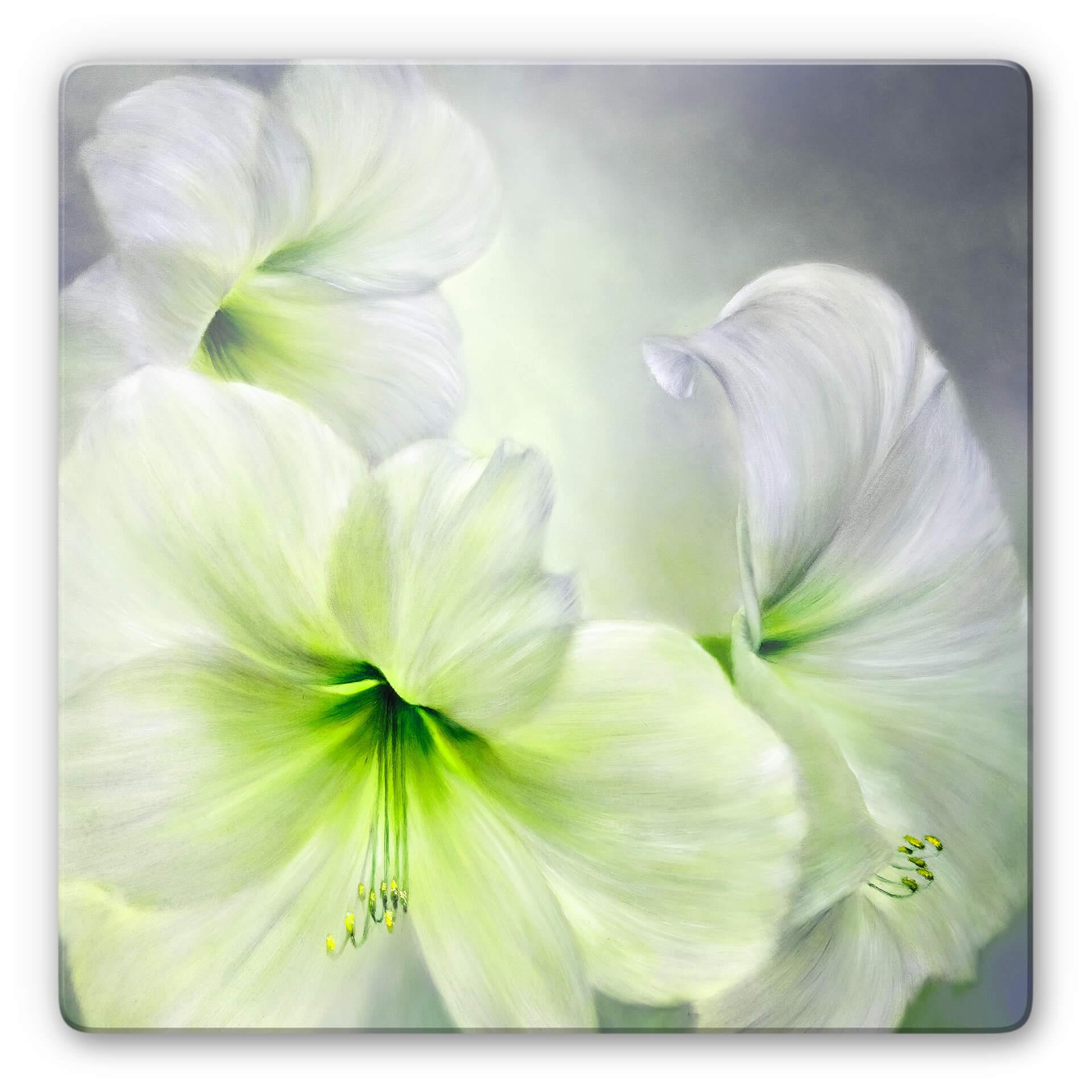 Glasschilderij Schmucker - White Amaryllis