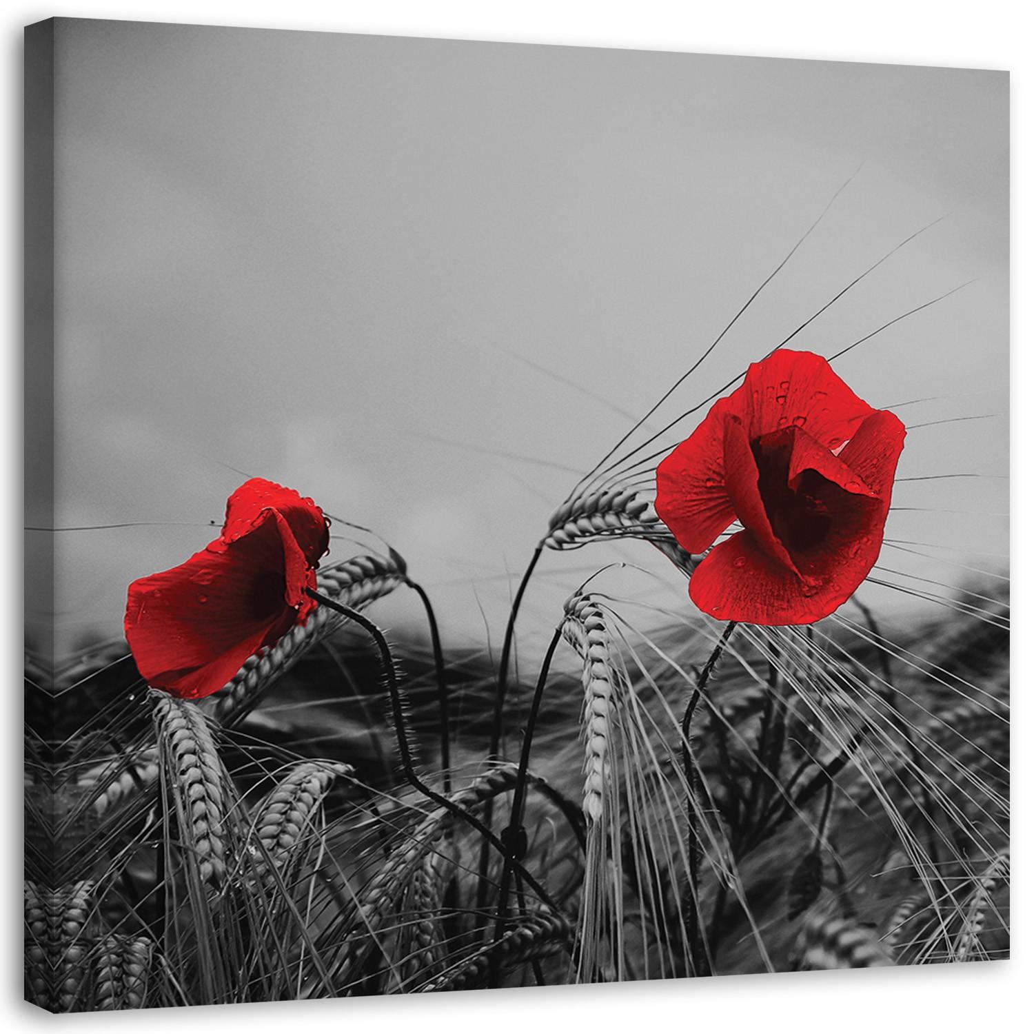 Canvasbillede, Røde valmuer