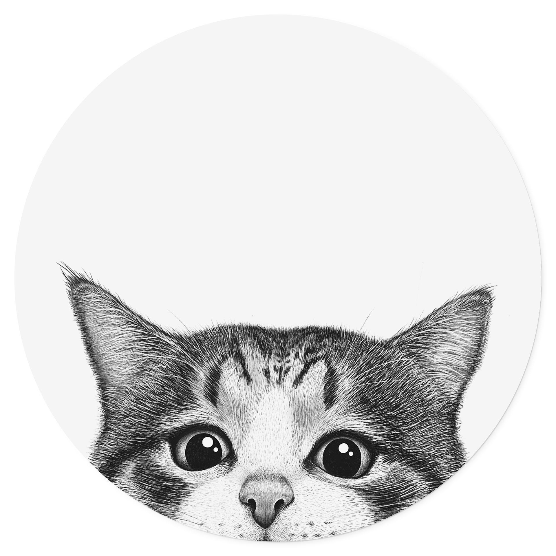 Adesivo murale con gatto curioso - Korenkova - Rotondo