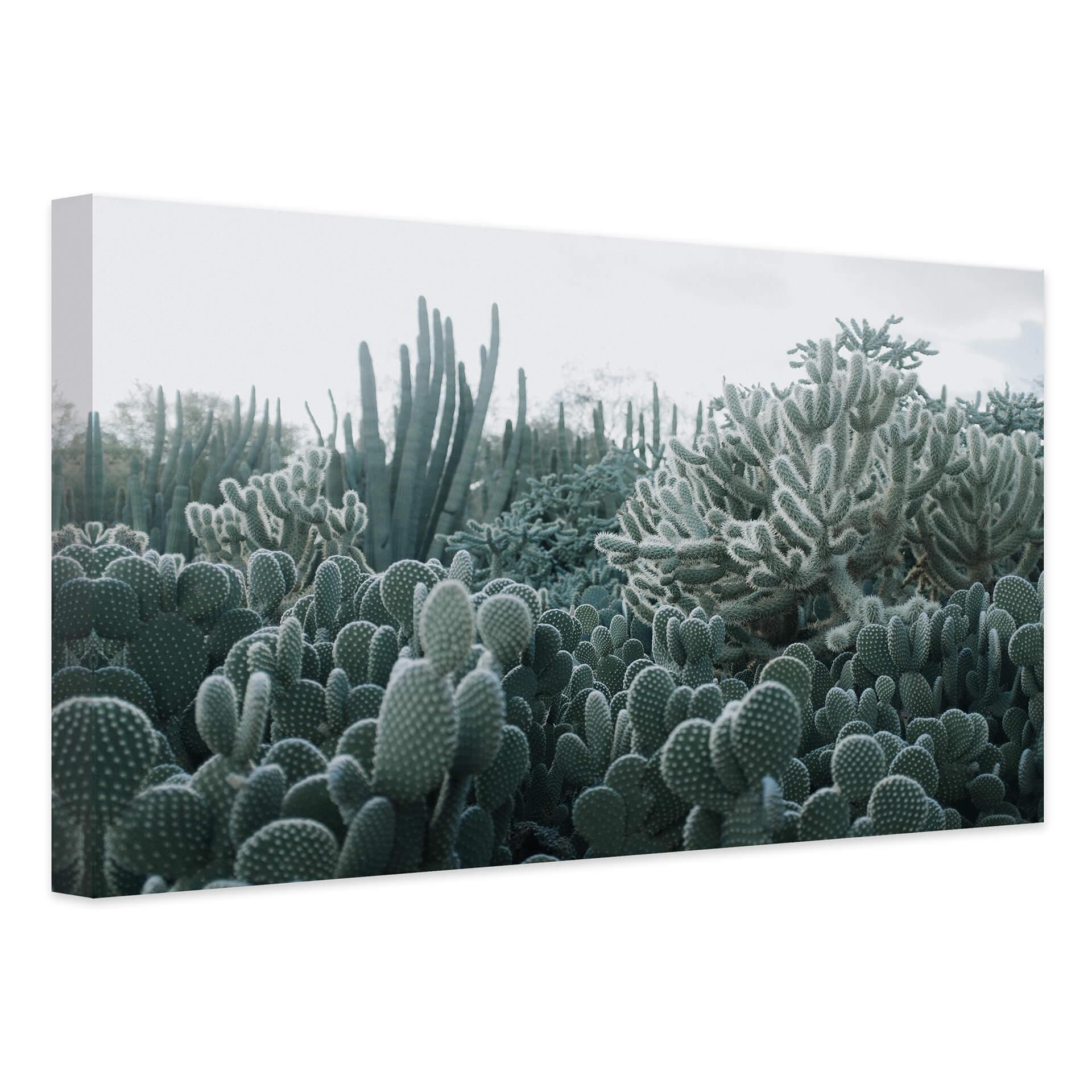 Lienzo cactus