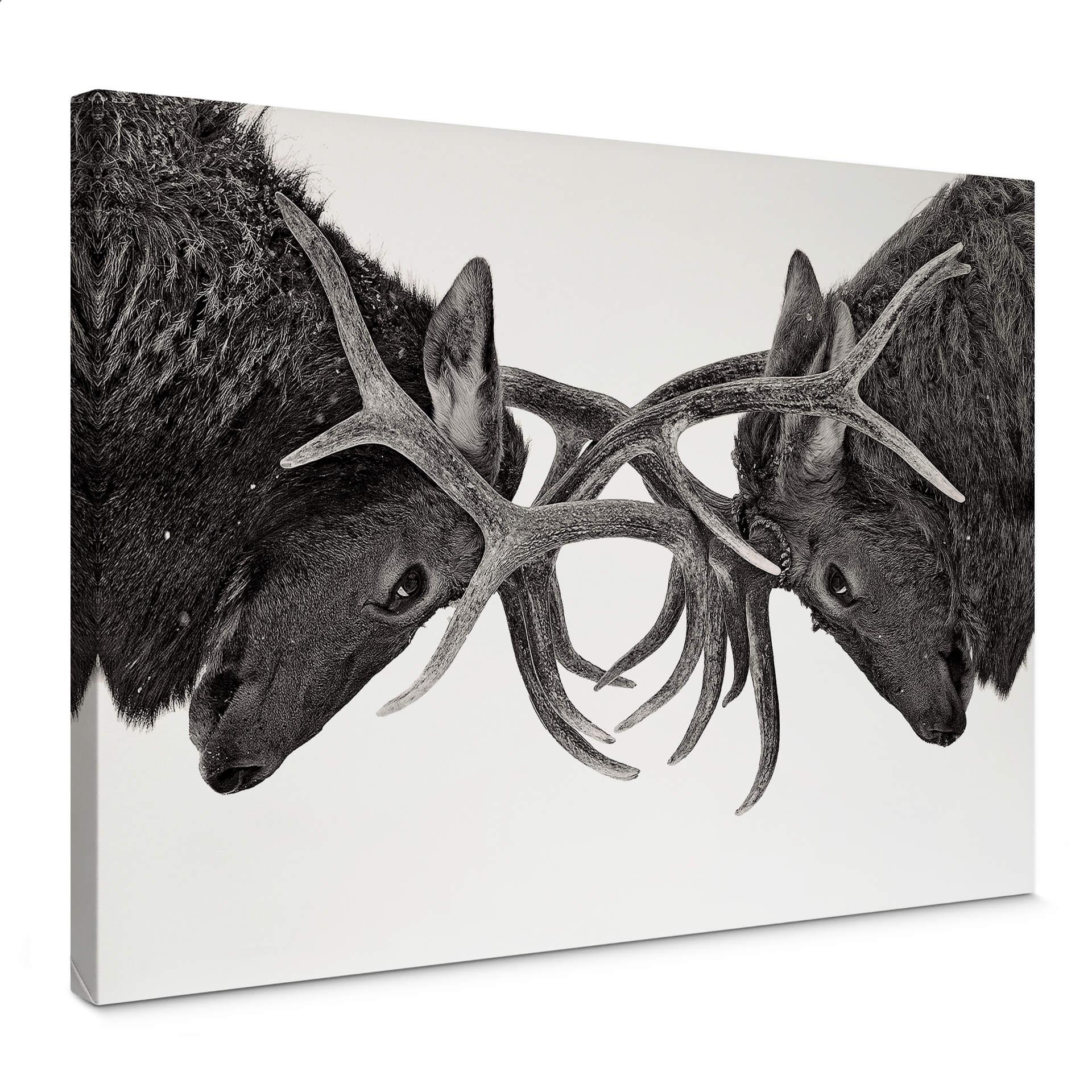 Canvasbillede - Cumming - Power Struggle