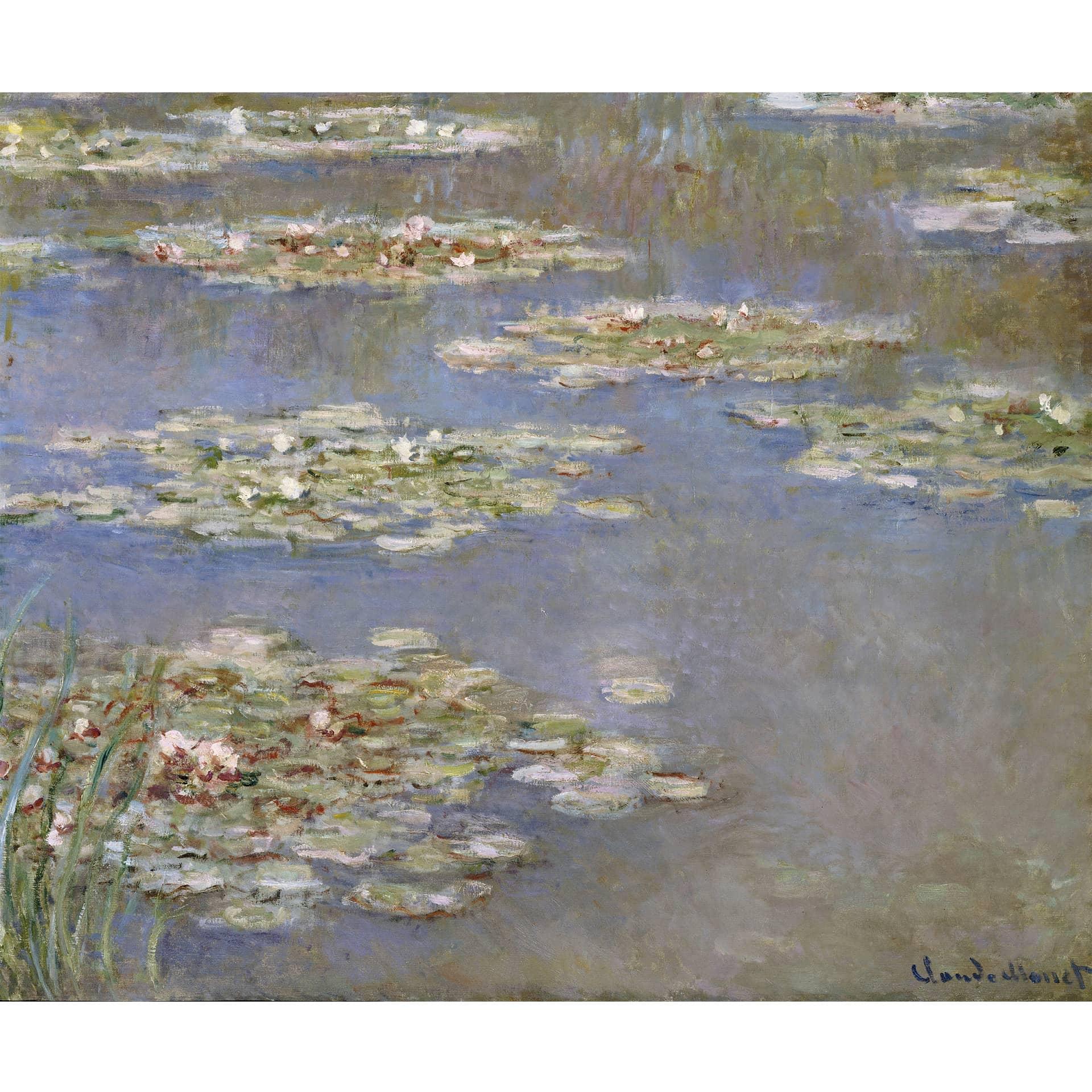 Fototapete Monet - Seerosen 1905