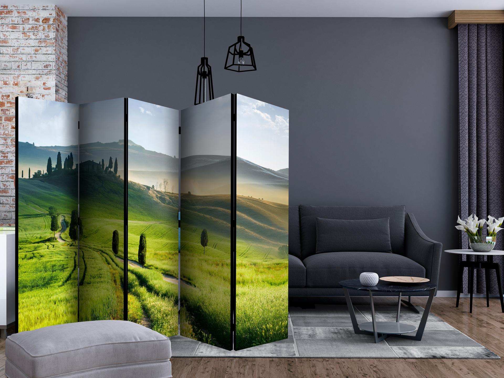 Paravent, Raumteiler freistehend, Trennwand -  Morgen auf dem Lande , 5-teilig - 225x172 cm