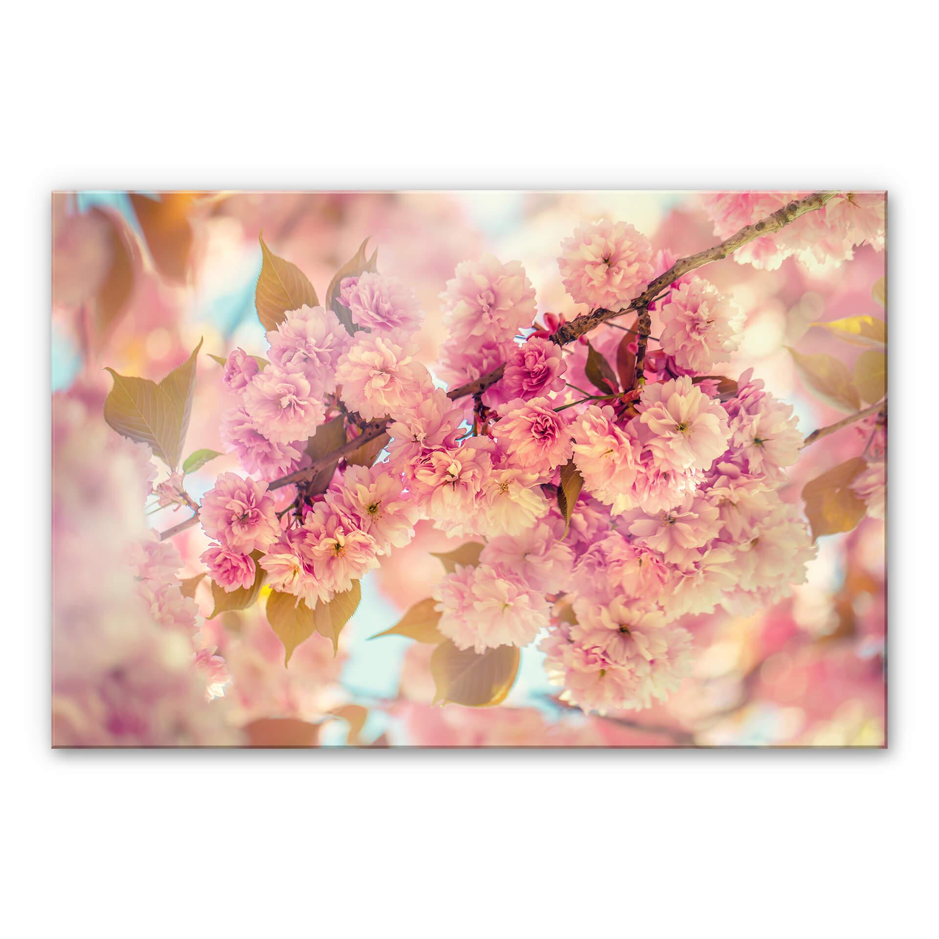 Akrylbillede Delgado - Kirsebærblomster