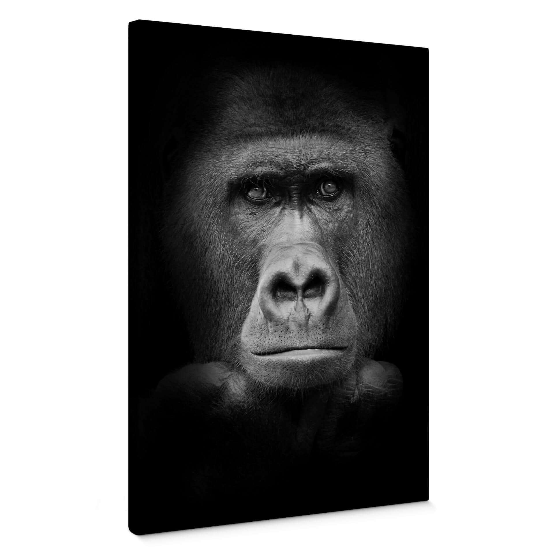 Gorilla - Lærredsprint