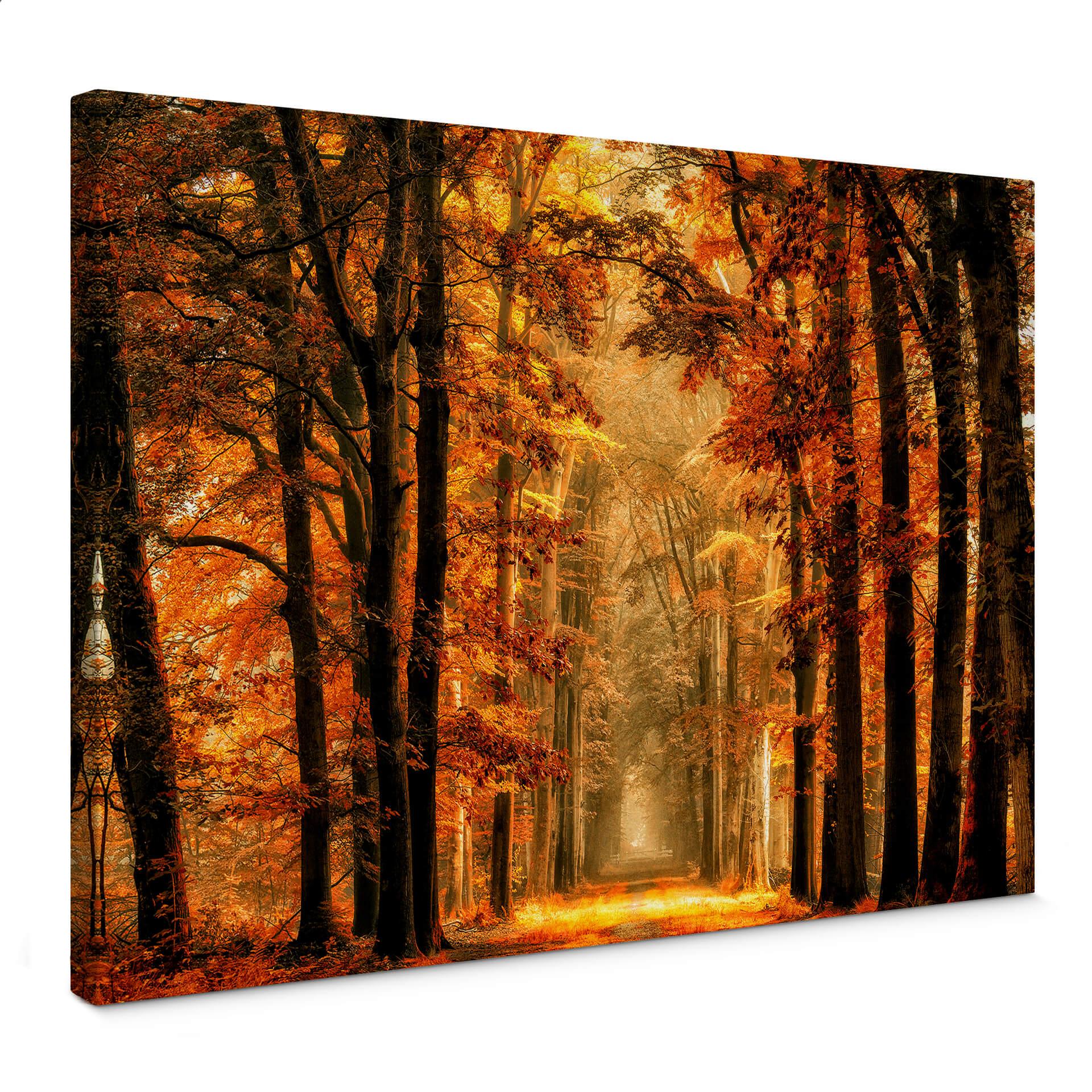 Canvasbillede - can de Goor - Autumn