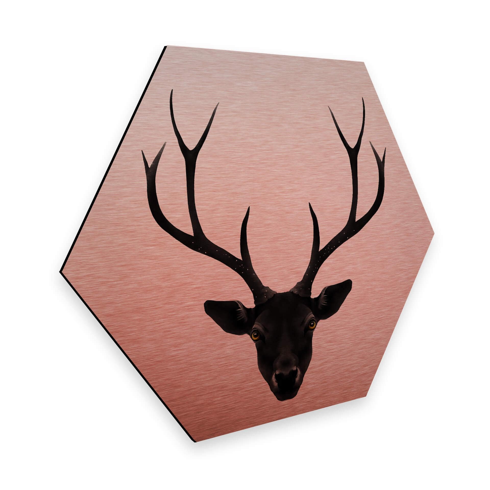 Hexagone - Tableau sur alu-Dibond - Effet cuivré - Ireland - Le cerf noir