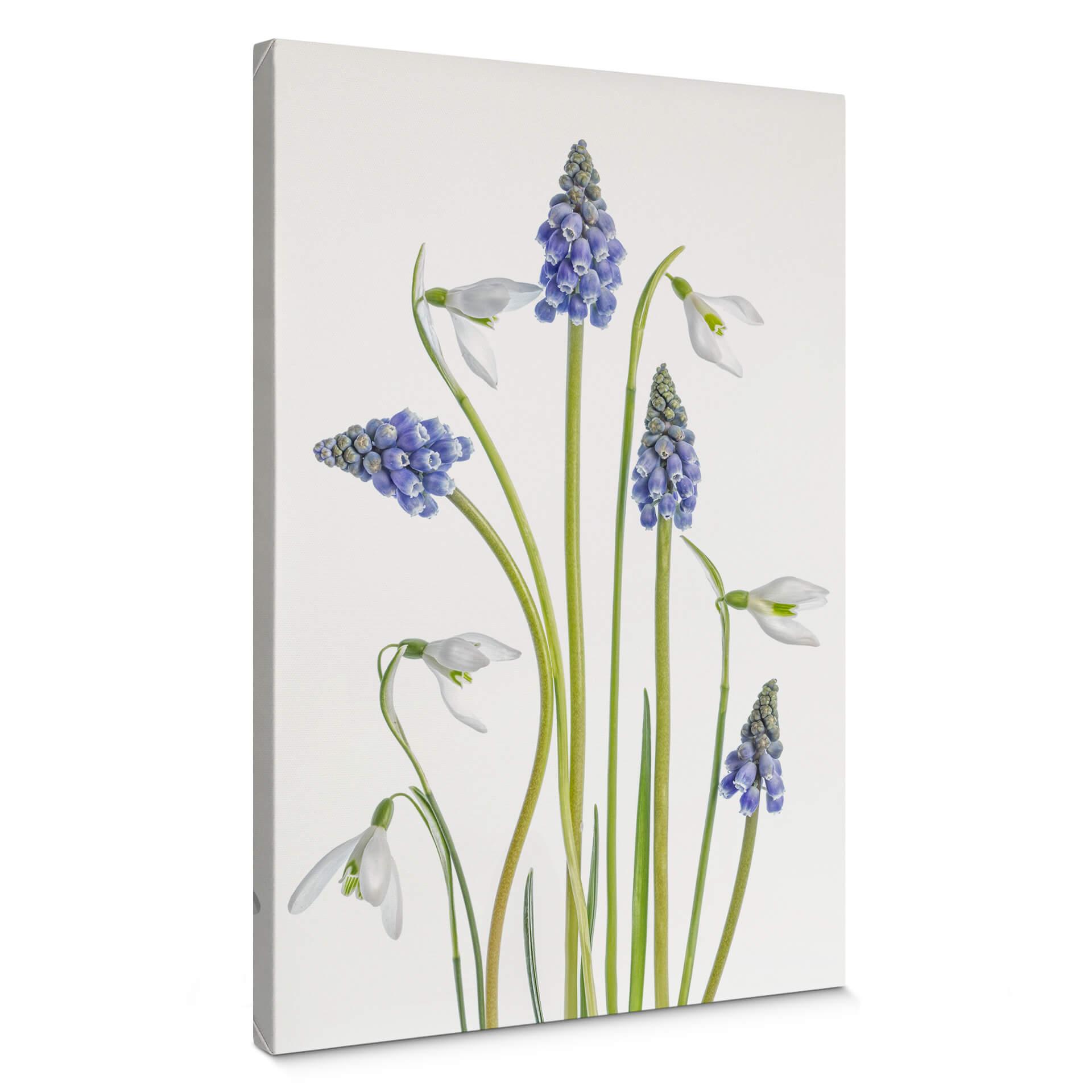 Canvasbillede - Disher - Forårsblomster
