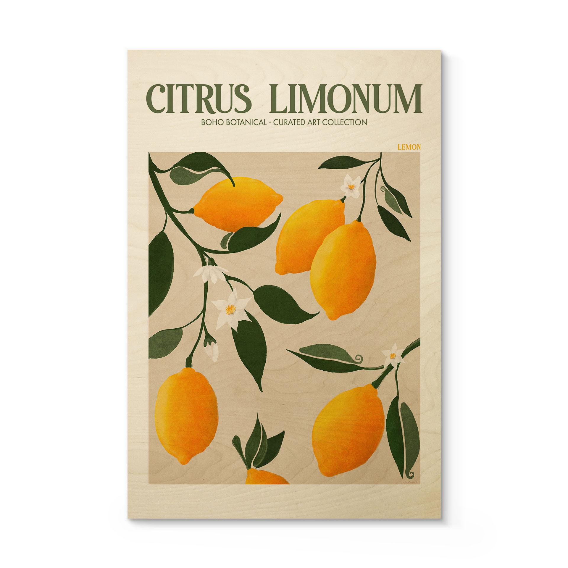 Træplakat Frugt - Boho citrontræ - Citrus Limonum - Tunaboylu