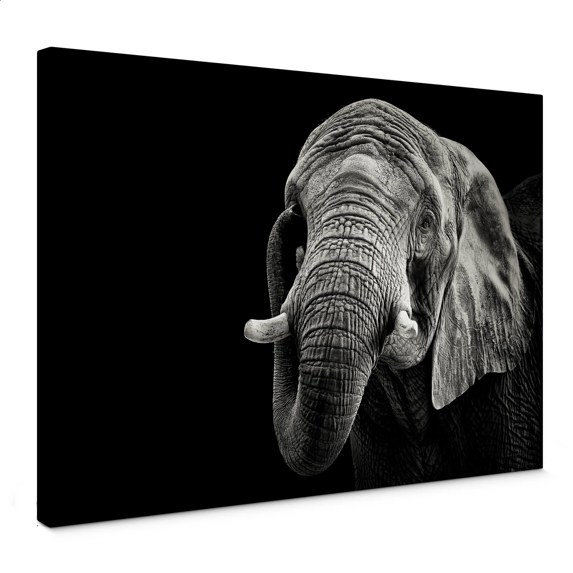 Canvasbillede - Meermann - Elefanten