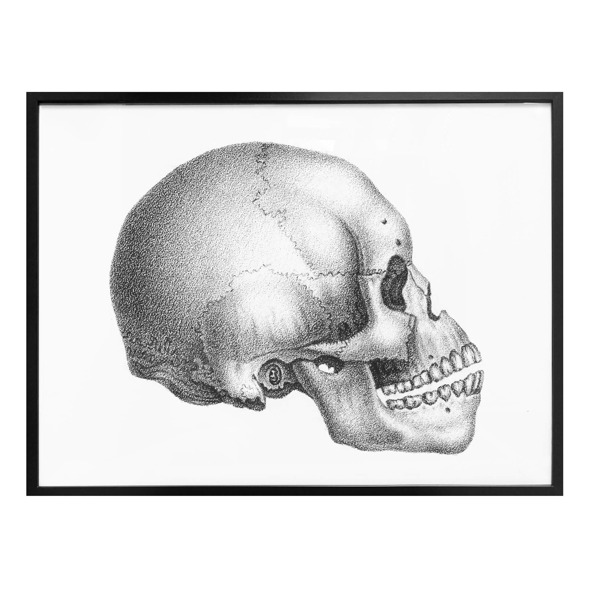 Póster Calavera 02