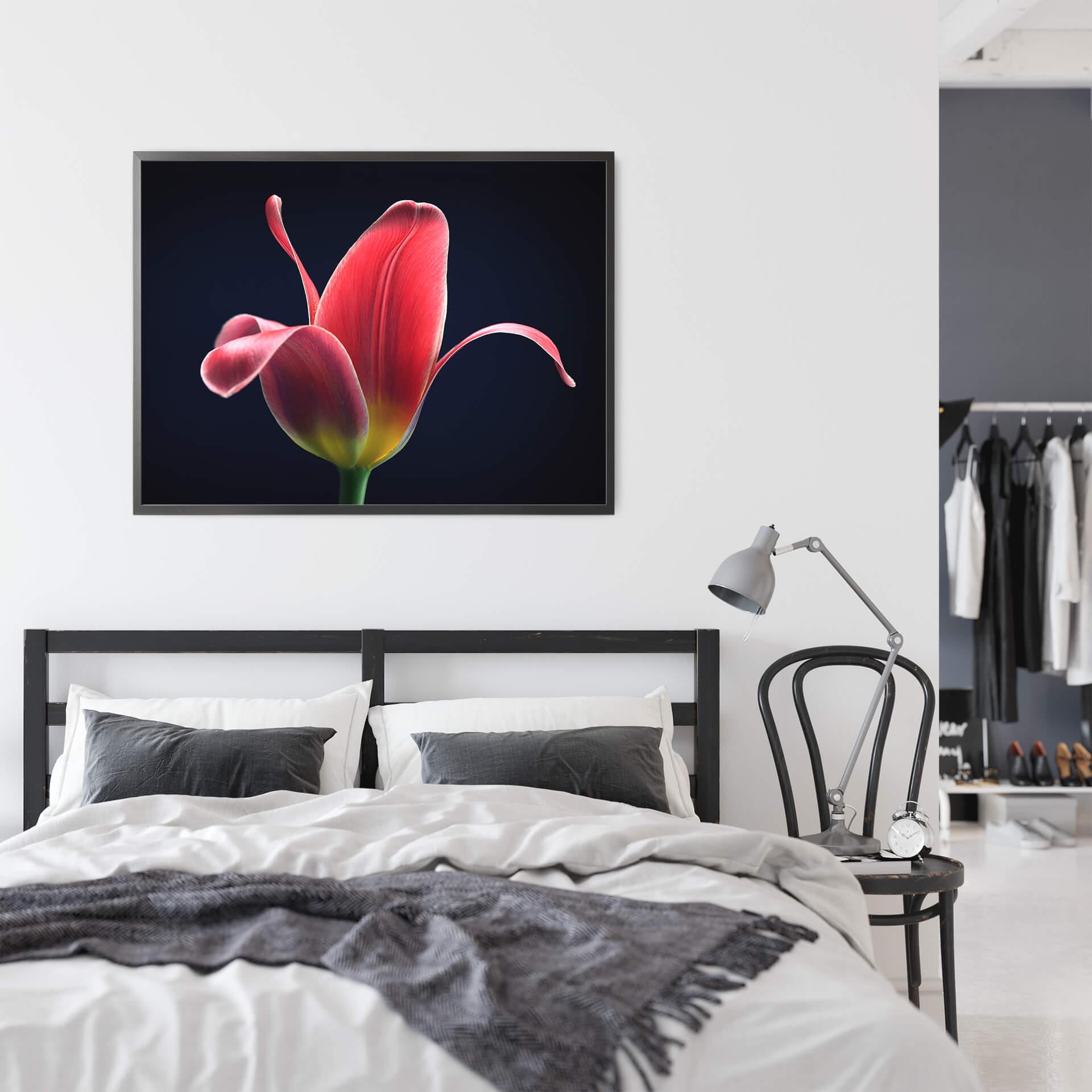 Plakat - Grønkjær - First Tulip