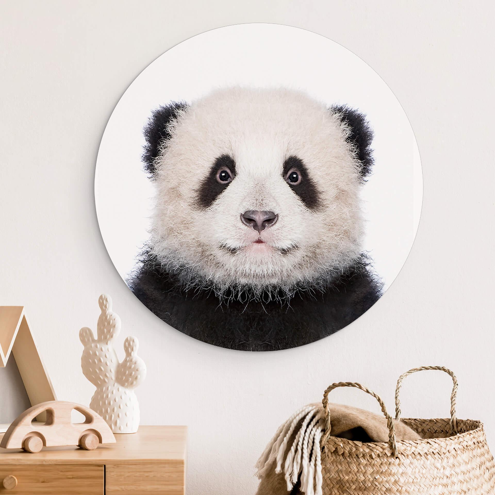 Wandcirkel Sisi & Seb - Baby Panda