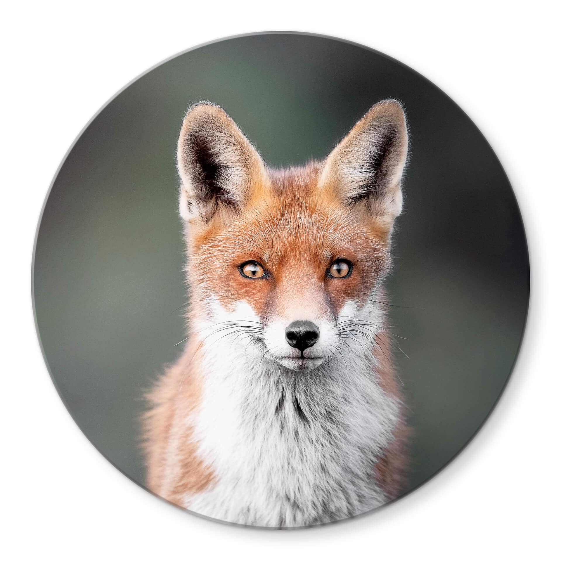 Tableau sur verre van Duijn - Yeux de renard