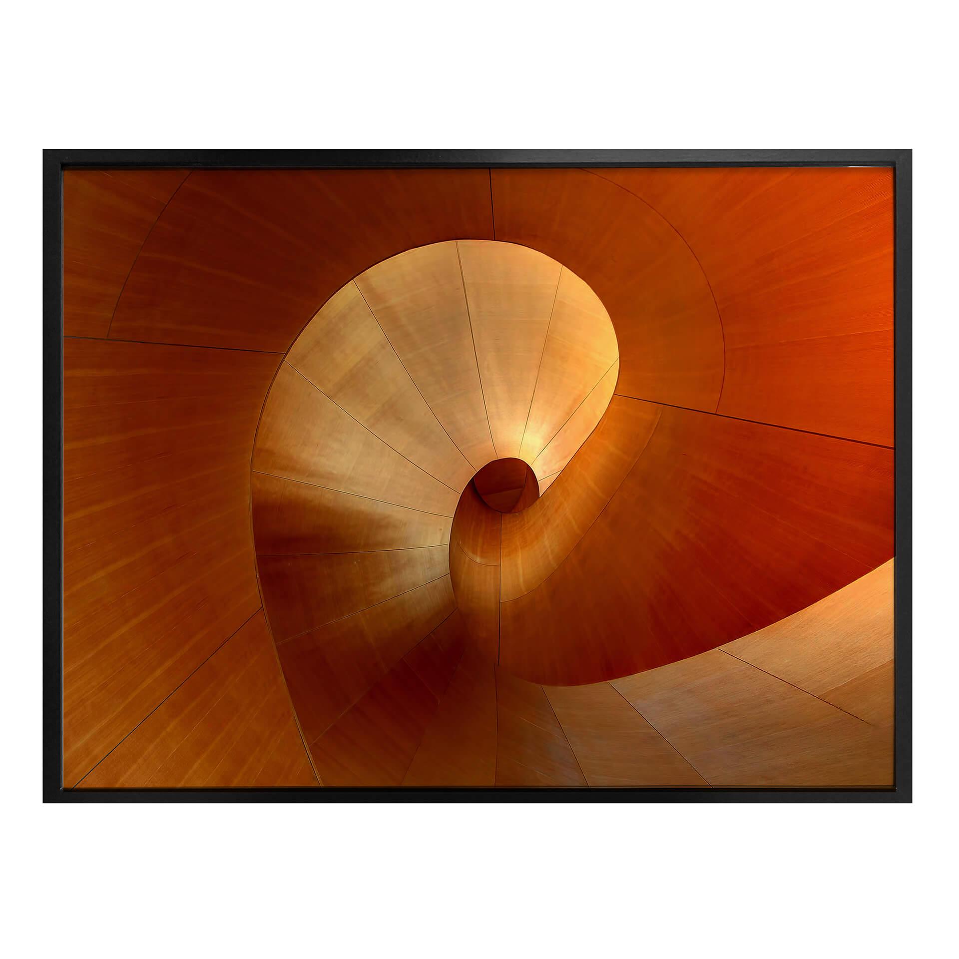 Póster Shainidze - La curva