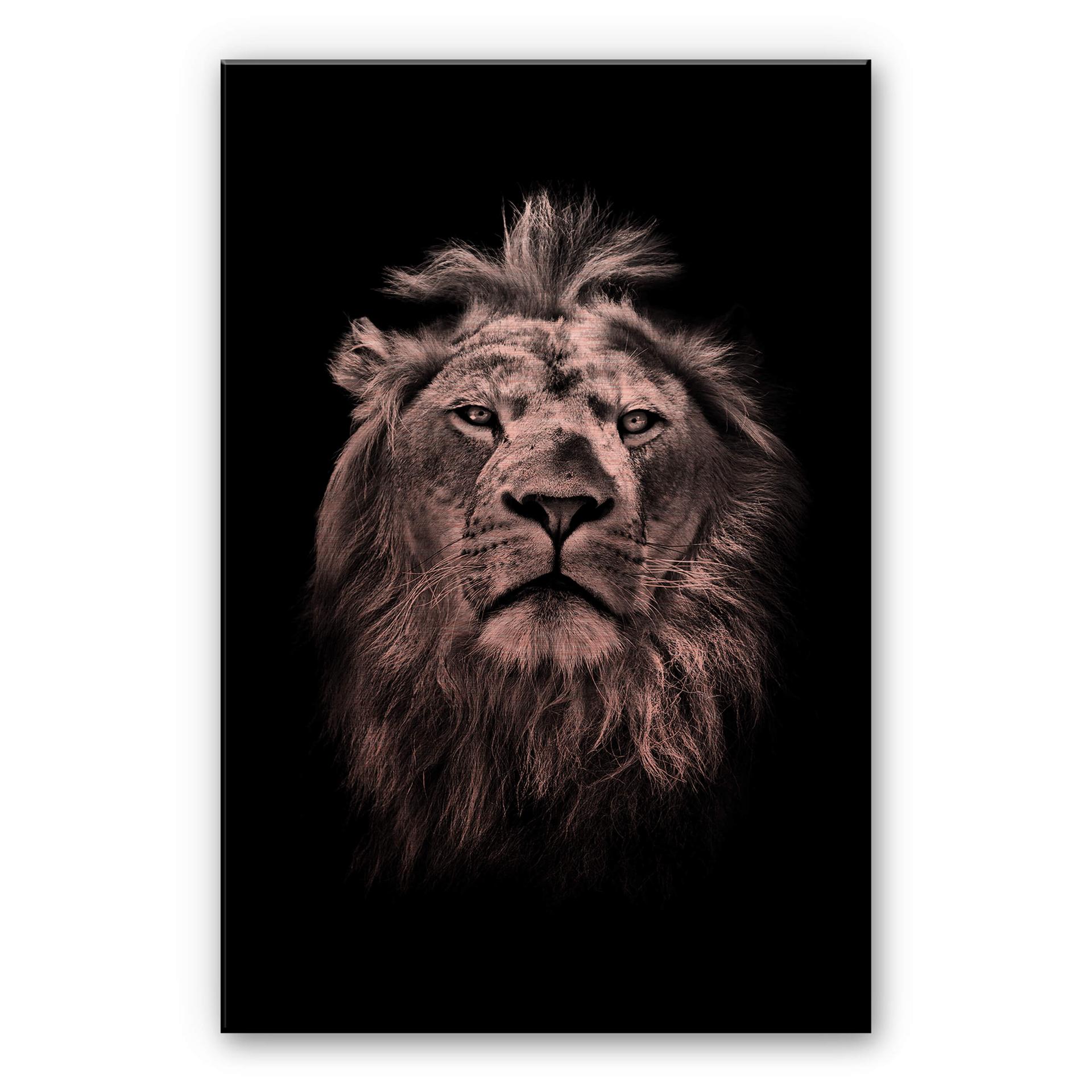 Dibond Schilderij met koper effect Lion