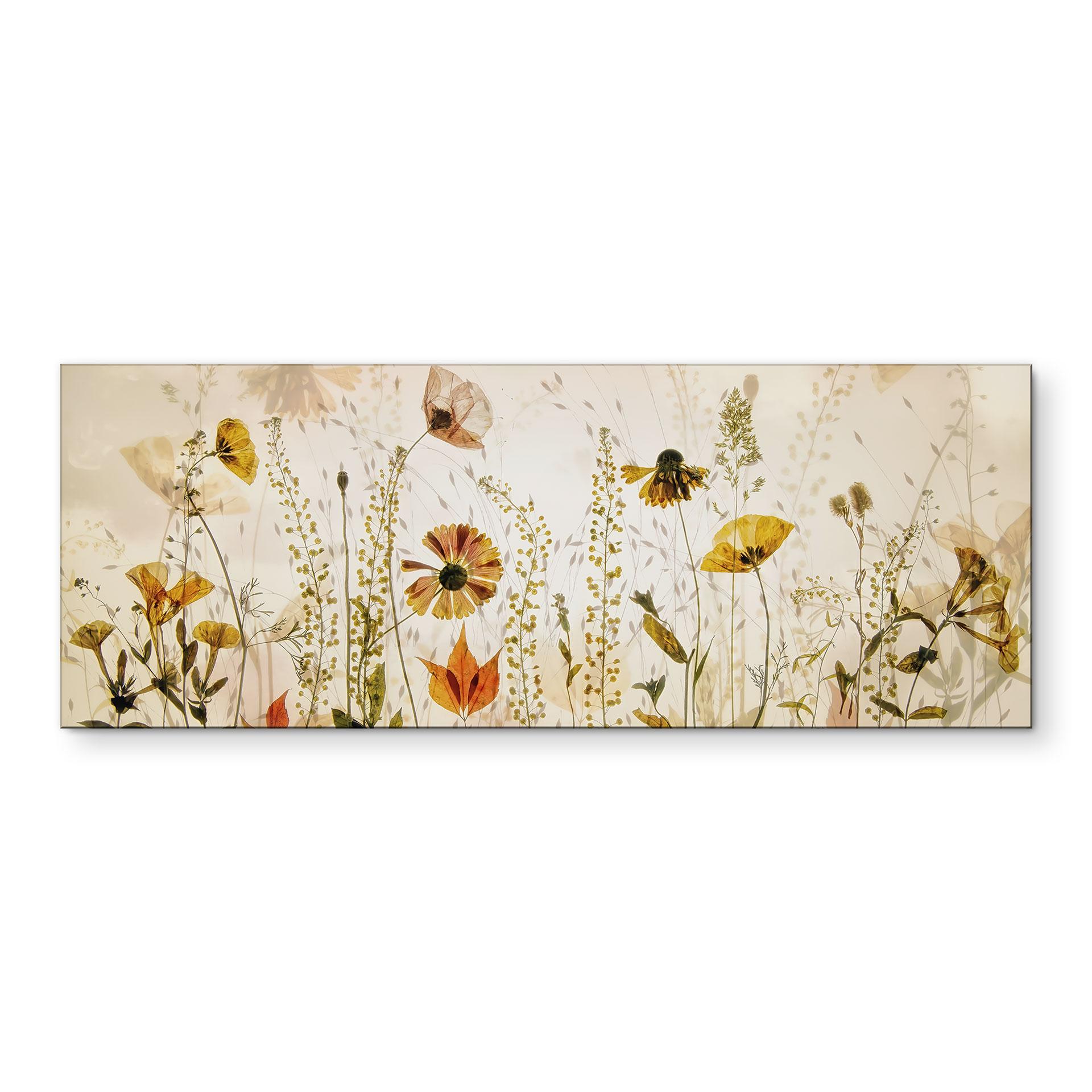 Fototapet Vilde engblomster i sollyset - Talen - Panorama – print på aluminium (Alu-Dibond)