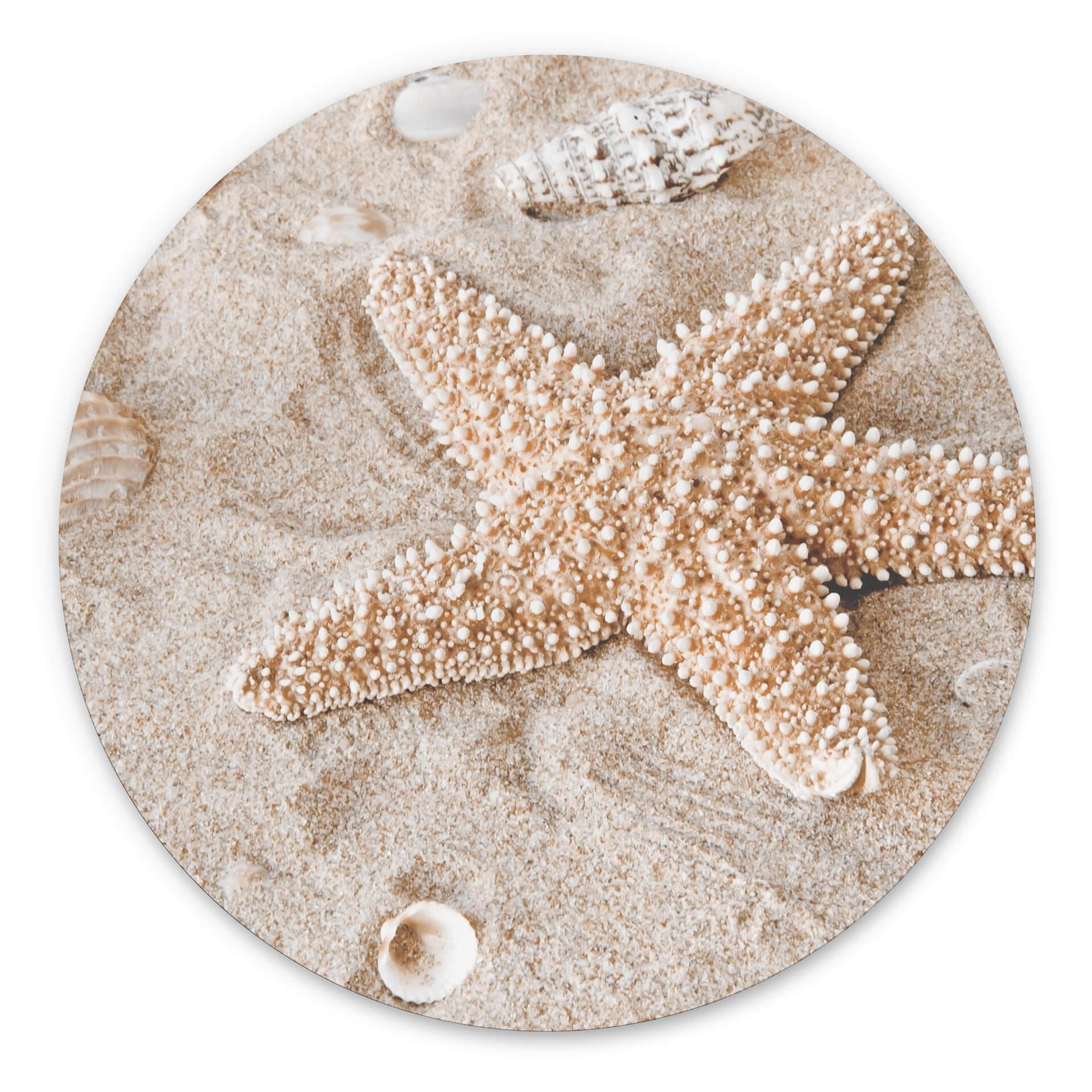 Tableau sur alu-Dibond rond Poisson-étoile dans la plage dorée