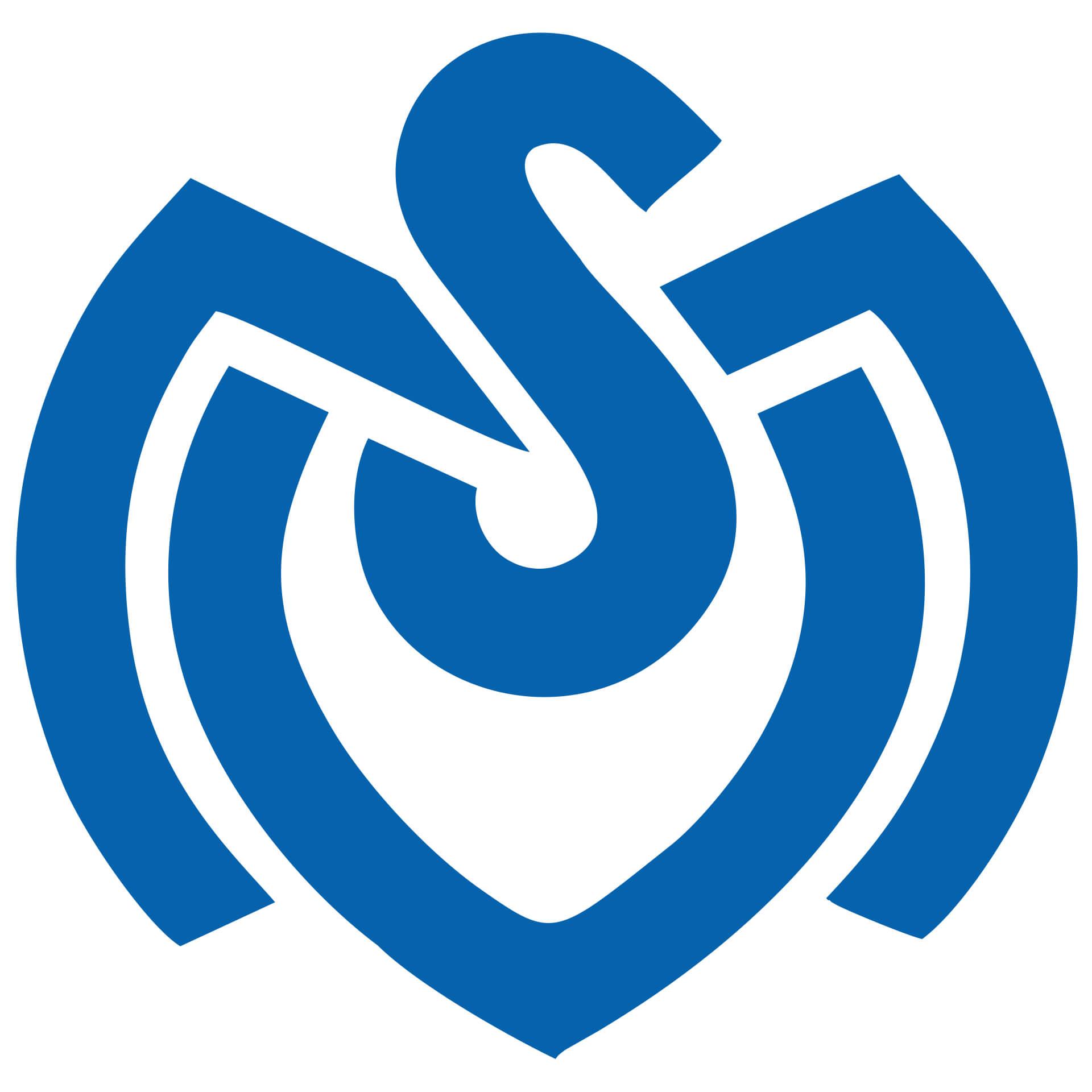 Wandtattoo MSV Duisburg Retro Logo