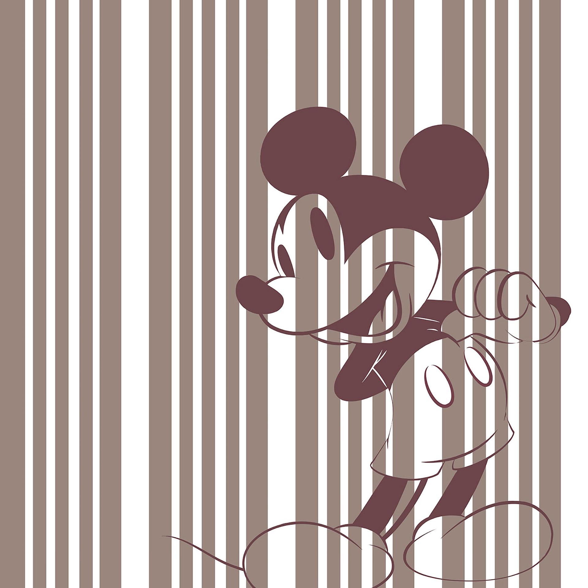 Non-woven tapet - Mickey Tone-On-Tone - 200 x 250 cm