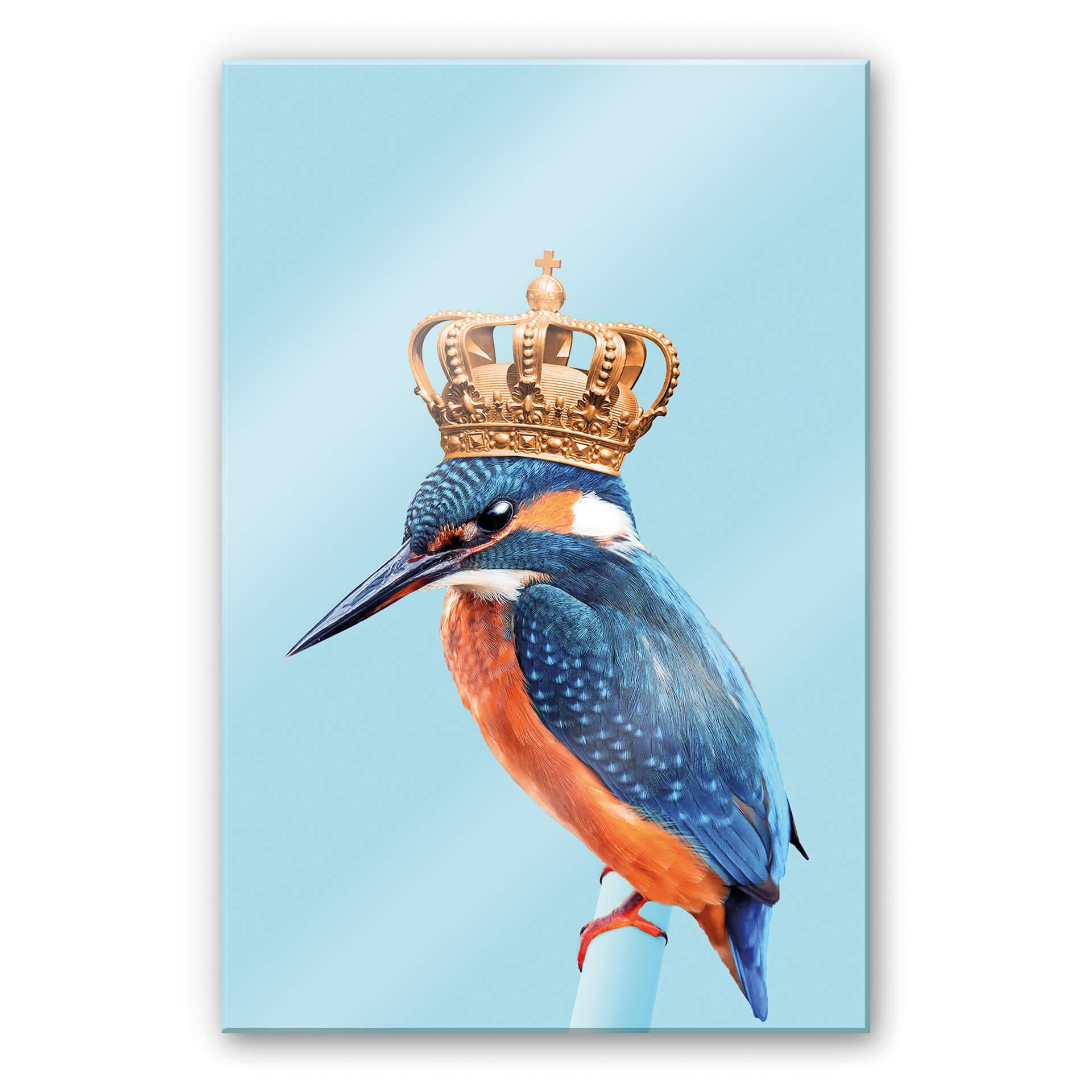 Akrylbillede Løs - Kingfisher