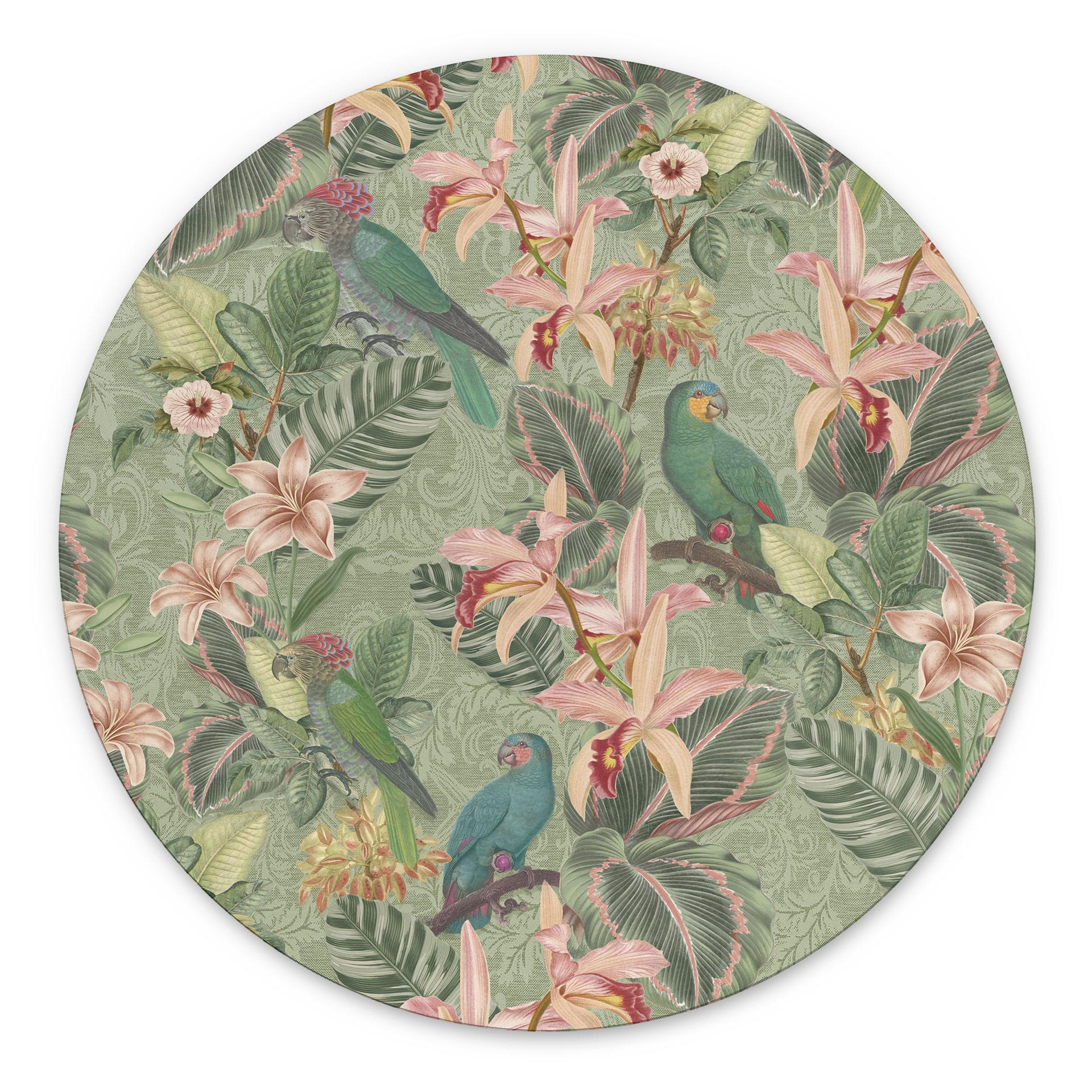 Billede Jungle med papegøjer Grøn - Blomsterdekoration - rund – print på aluminium (Alu-Dibond)