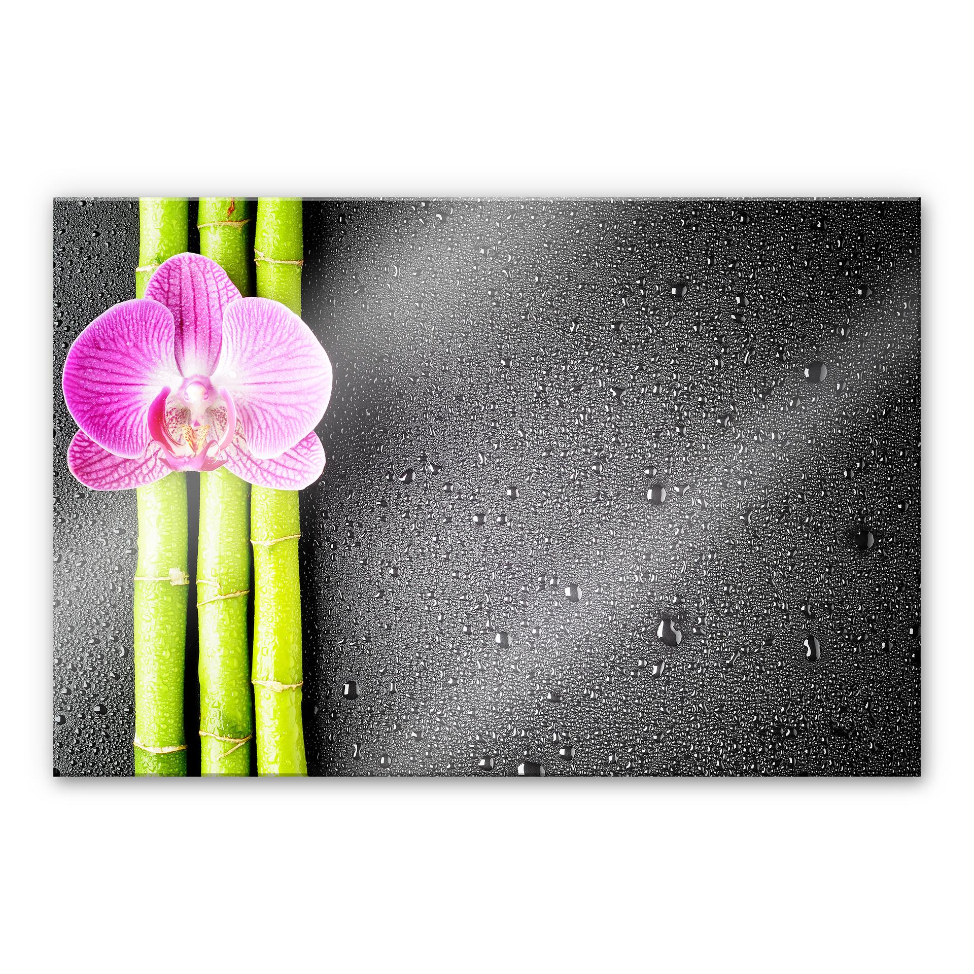 Tableau en verre acrylique - Orchid and Bamboo