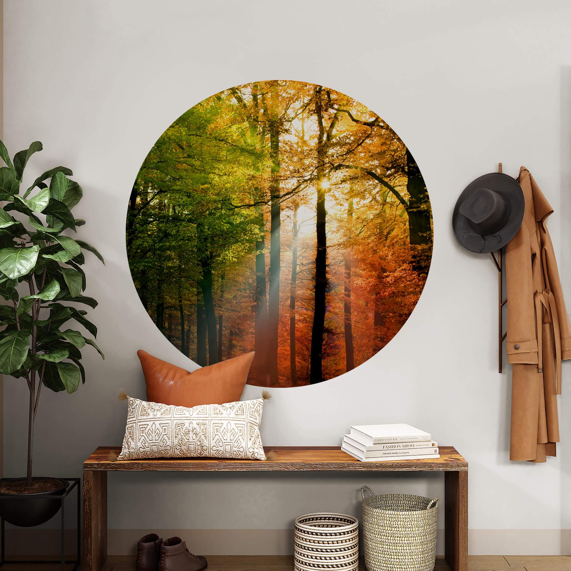 Wallsticker med gyldent efterår - Rund