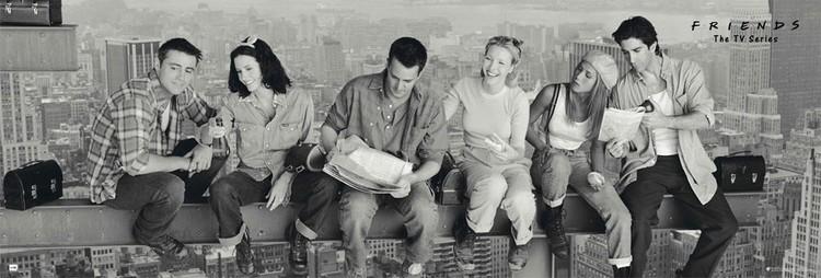 Filmplakat Friends - Skyscraper, plakat (158 x 53 cm)