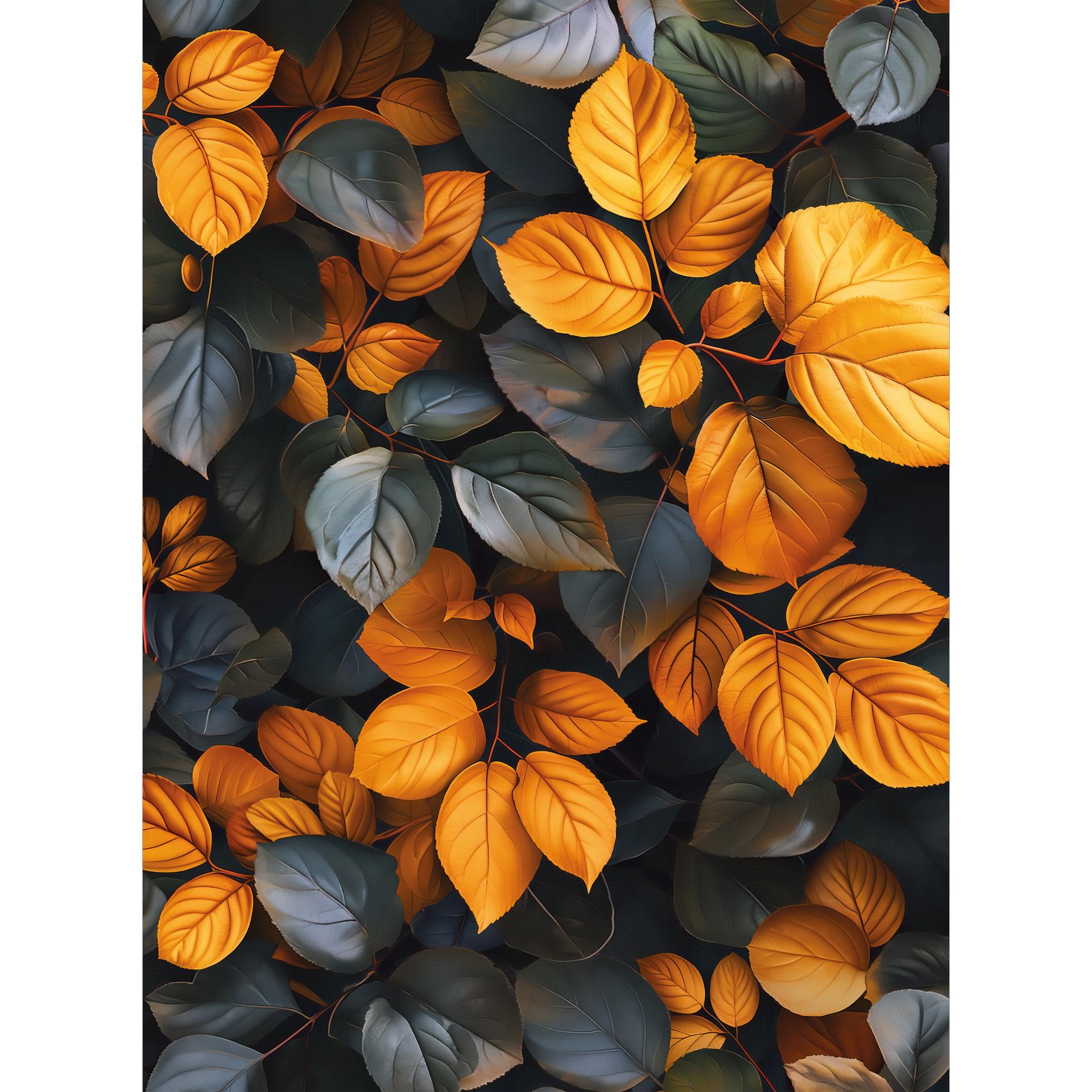 Glinsterende bladeren in de herfst | planten Fotobehang - Jaszke