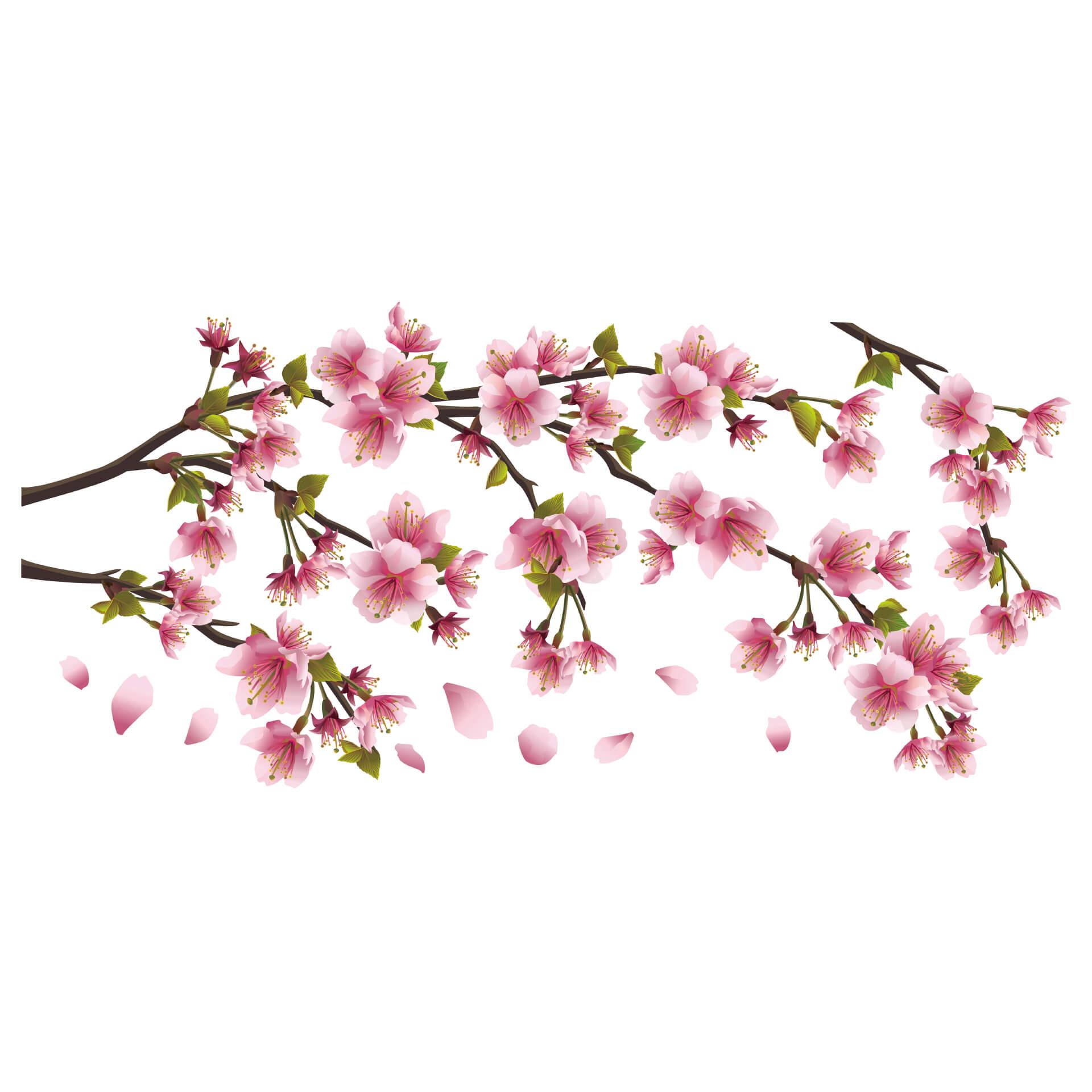 Adesivo murale - Ramo con fiori di ciliegio