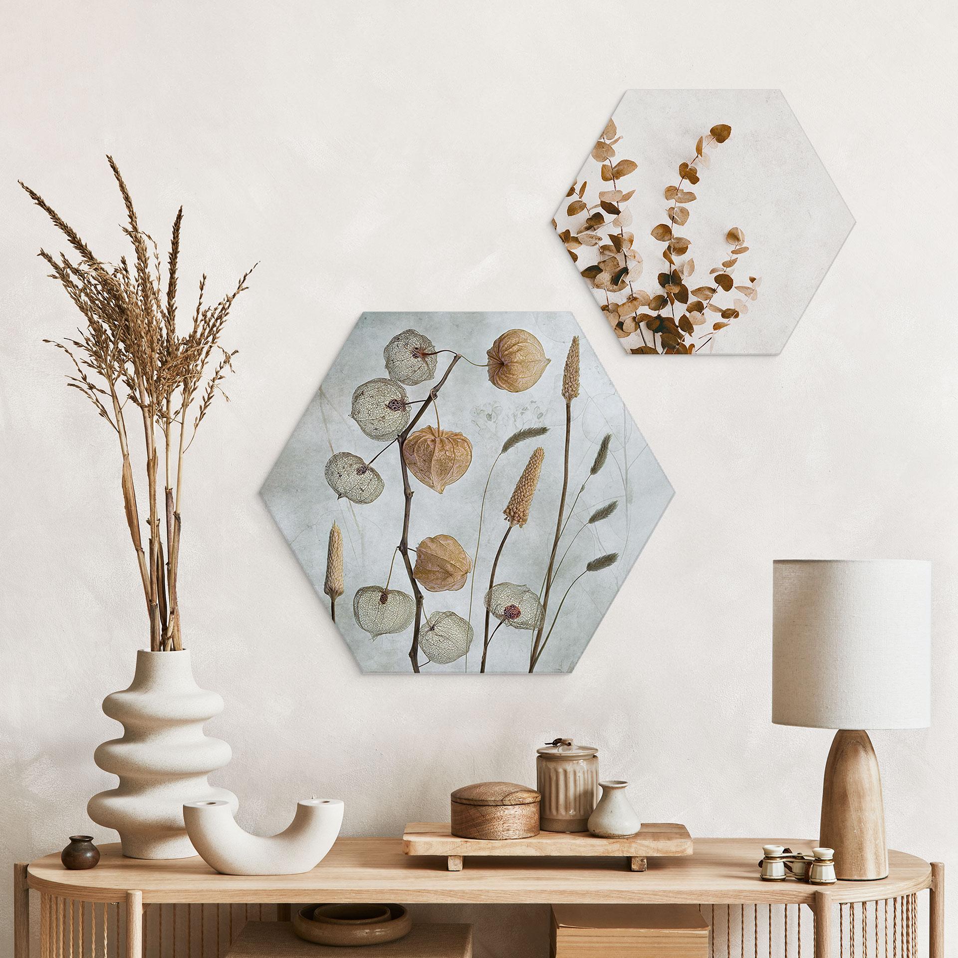 Hexagon Dibond Tørrede lanterneblomster - Disher