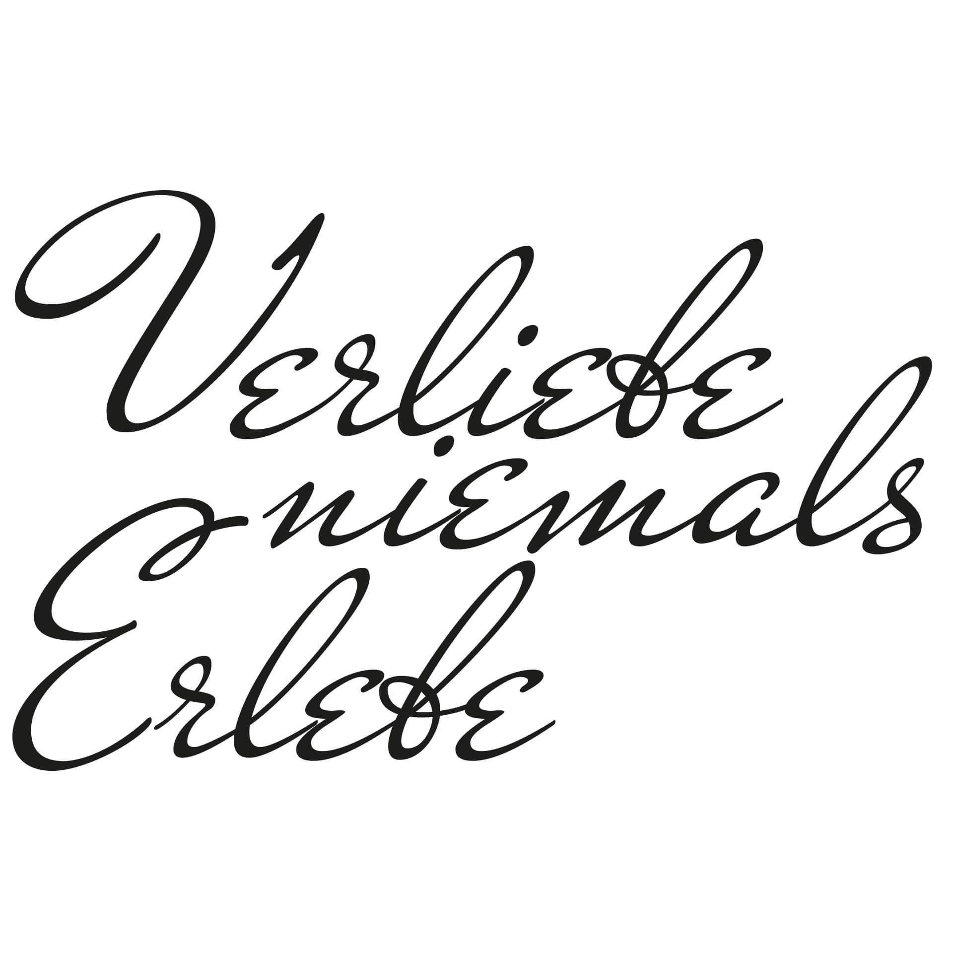 Wandtattoo Verliebe dich in das Leben - 2-farbig