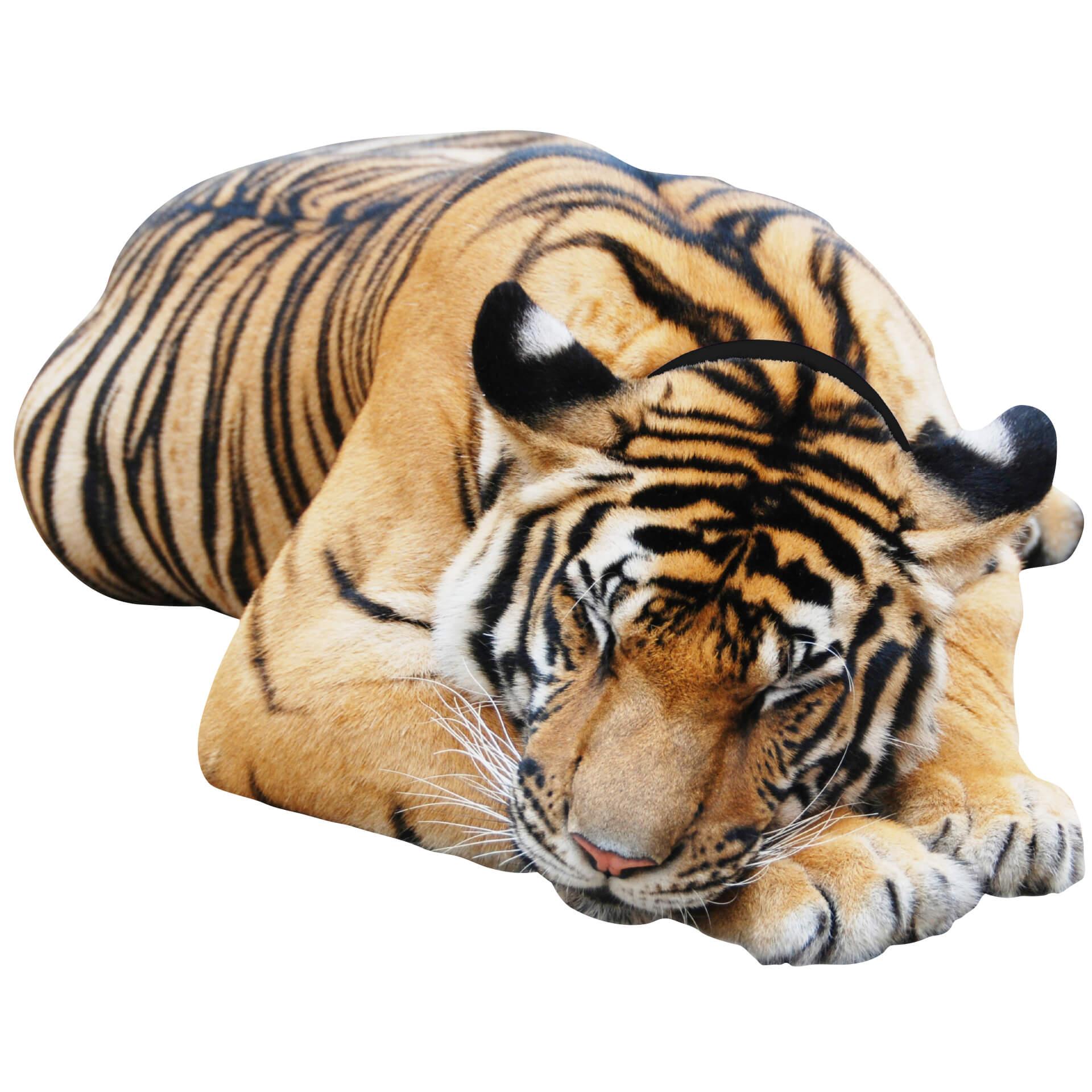 Wandtattoo Real resting Tiger