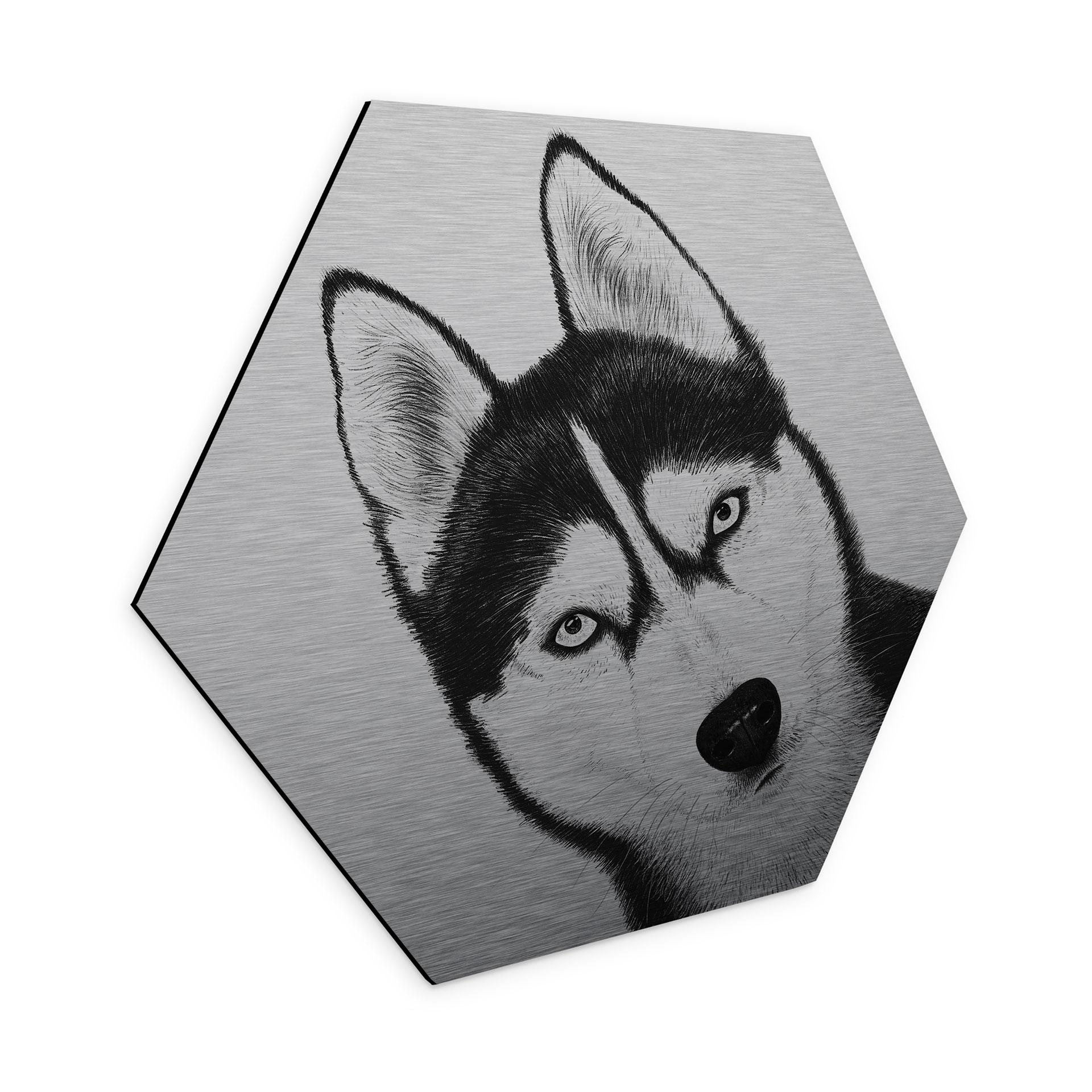 Aluminium Dibond met zilvereffect Siberische husky - Hondenportret - Korenkova - Zeshoek